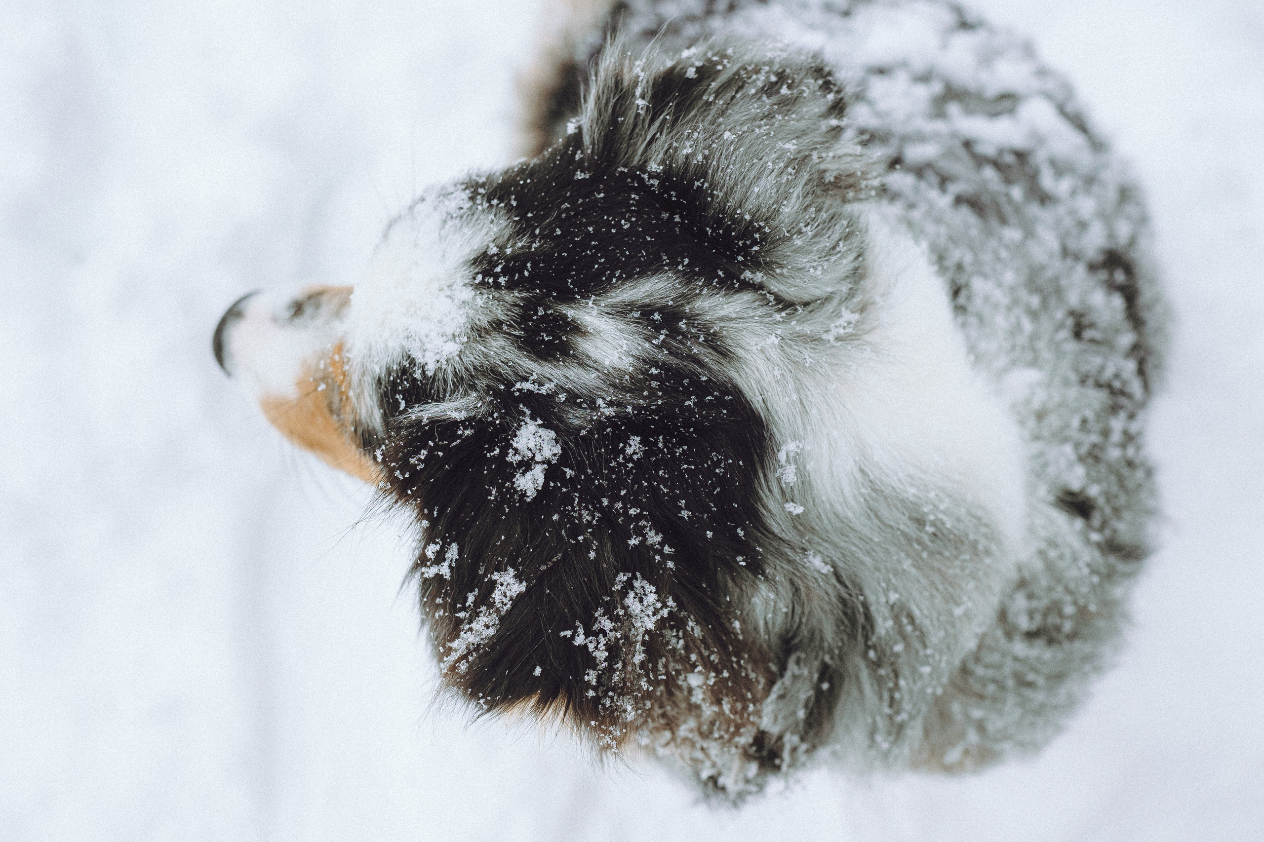 Фаня и ее семья