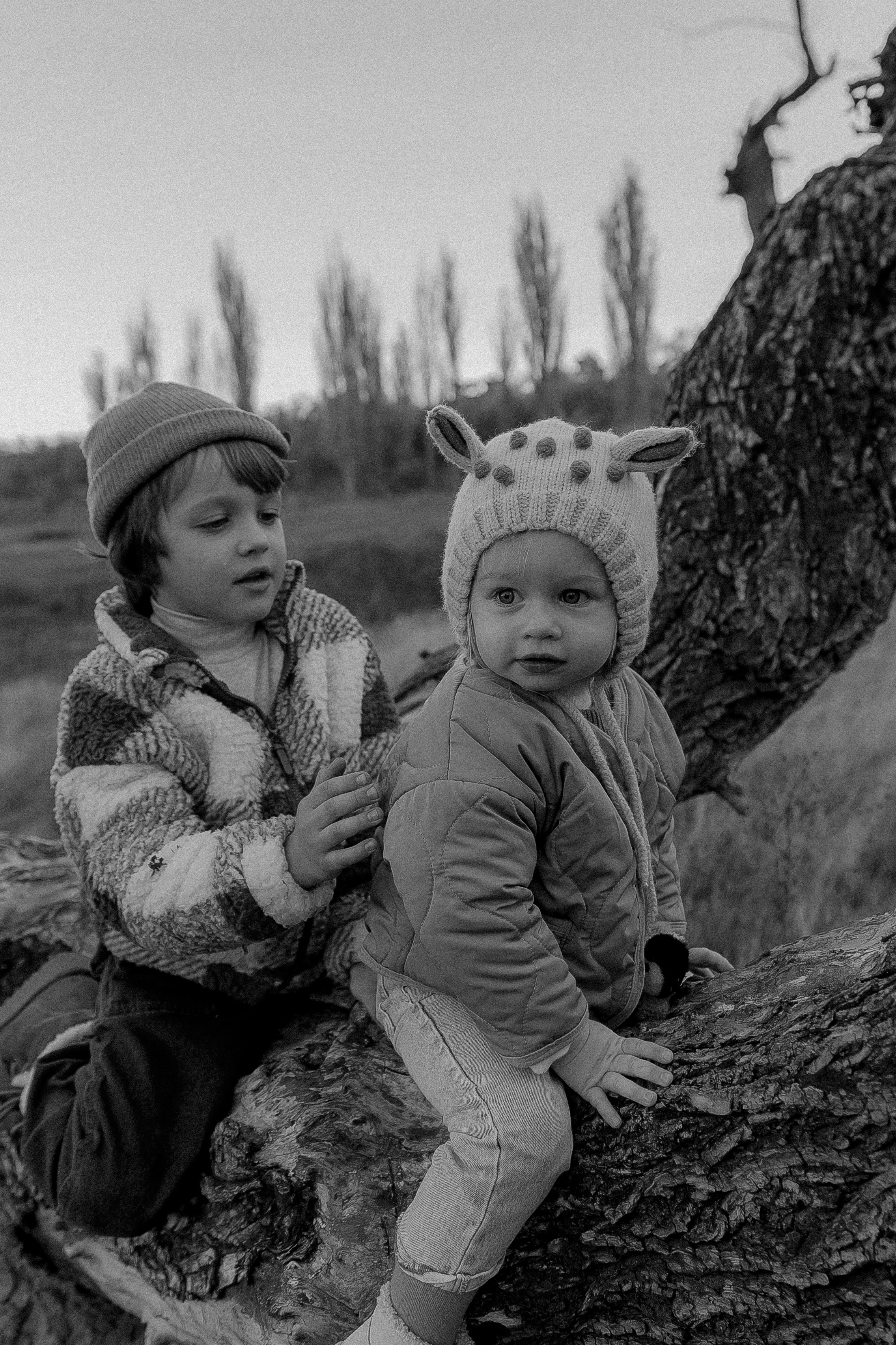 Марк.Василиса.Марта. Условия и стоимость