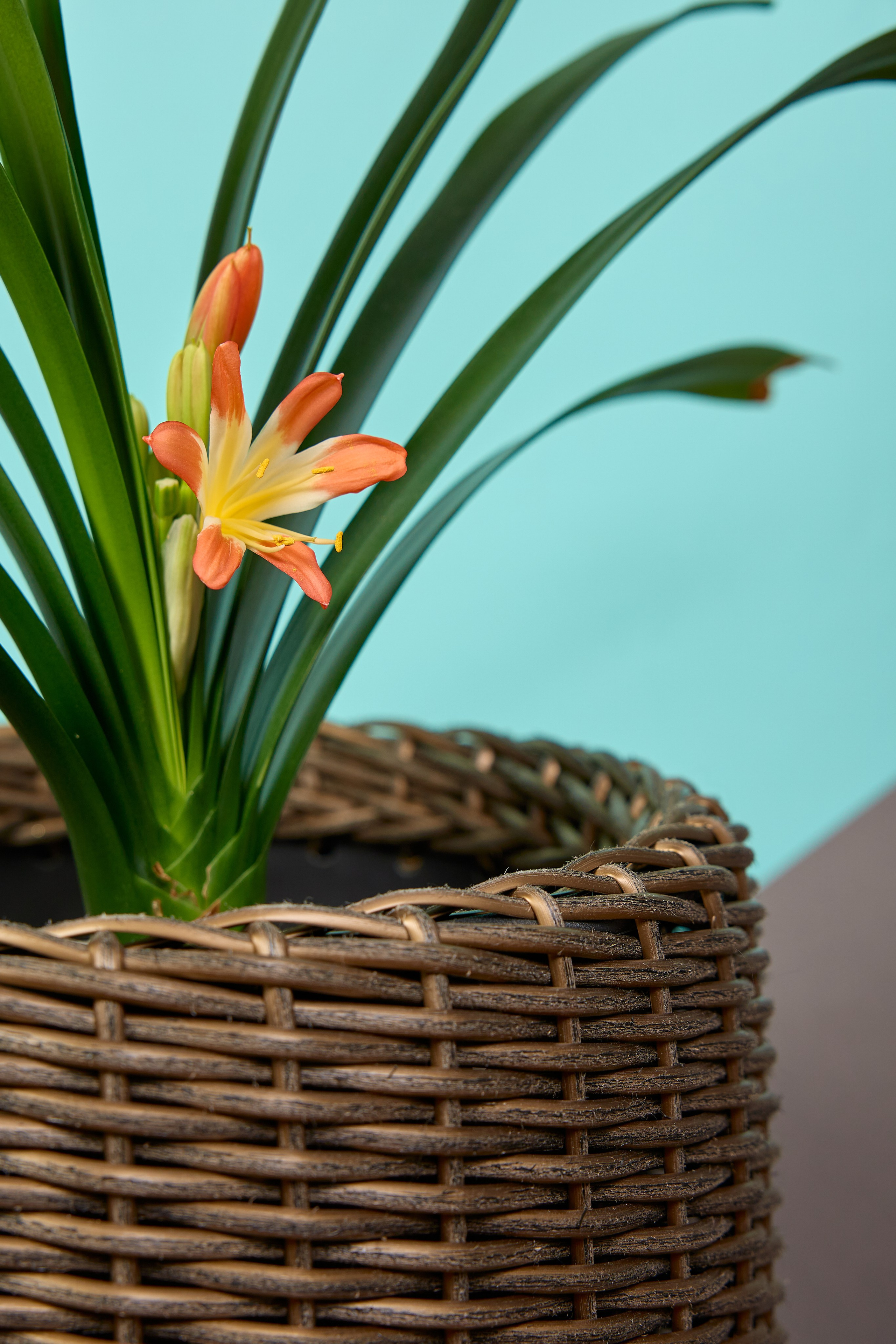 Фотосъёмка для маркетплейсов. Предметный и репортажный фотограф Алексей Кротов