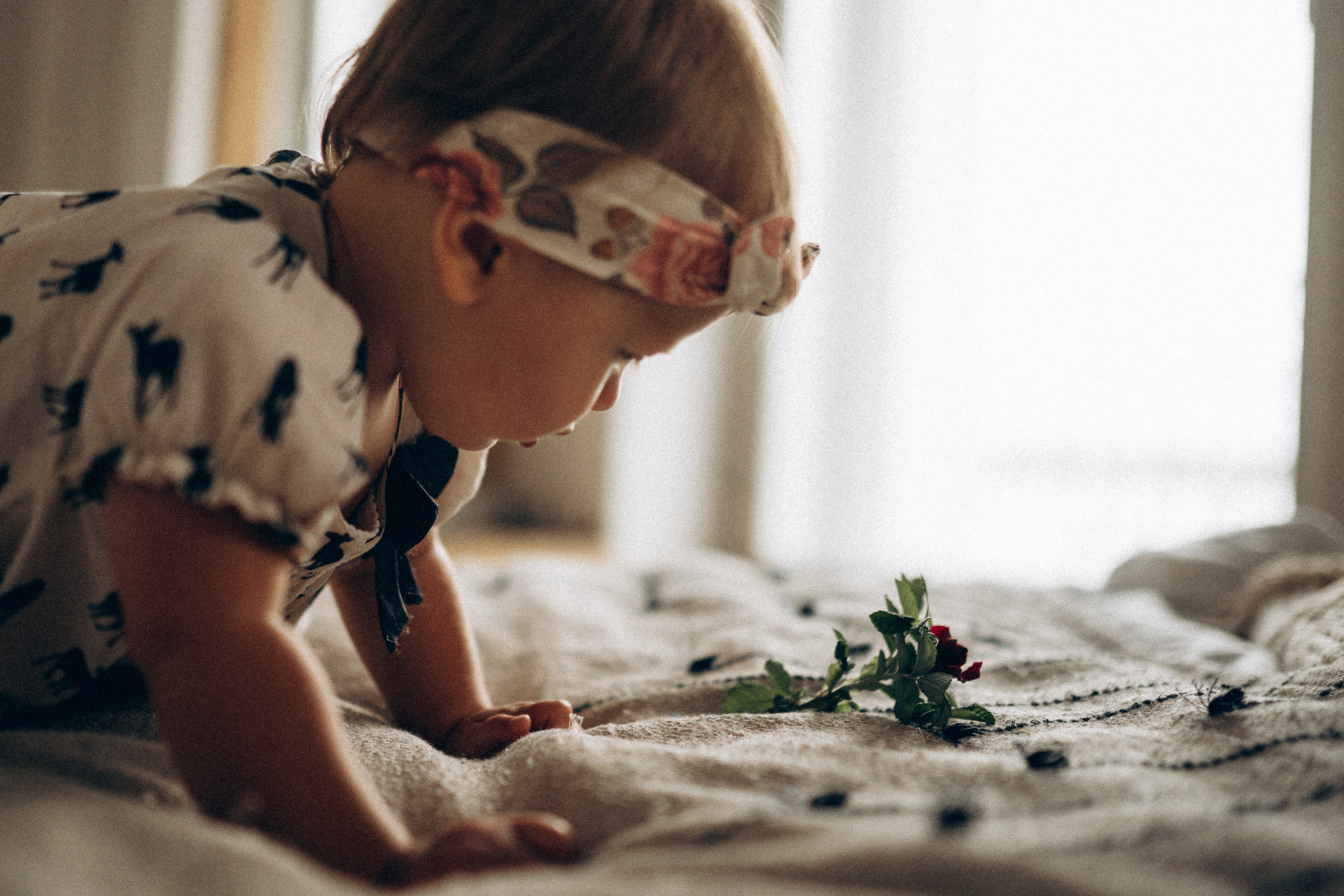 Максим, Катя и Мия, сентябрь 2021. Семейный фотограф Санкт-Петербург СПб Митрофанова Ольга