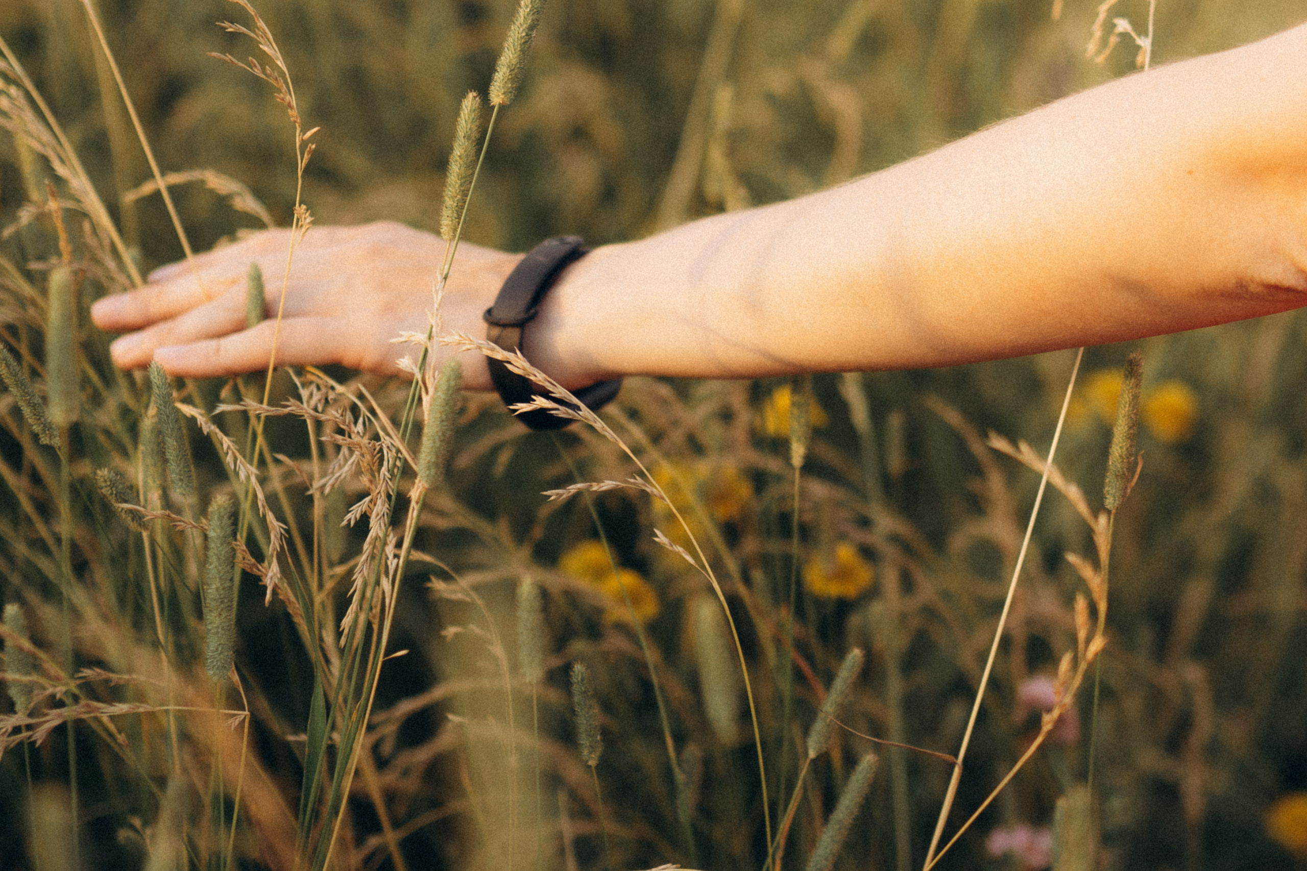 Света, Антон и Аня, июль 2021. Семейный фотограф Санкт-Петербург СПб Митрофанова Ольга