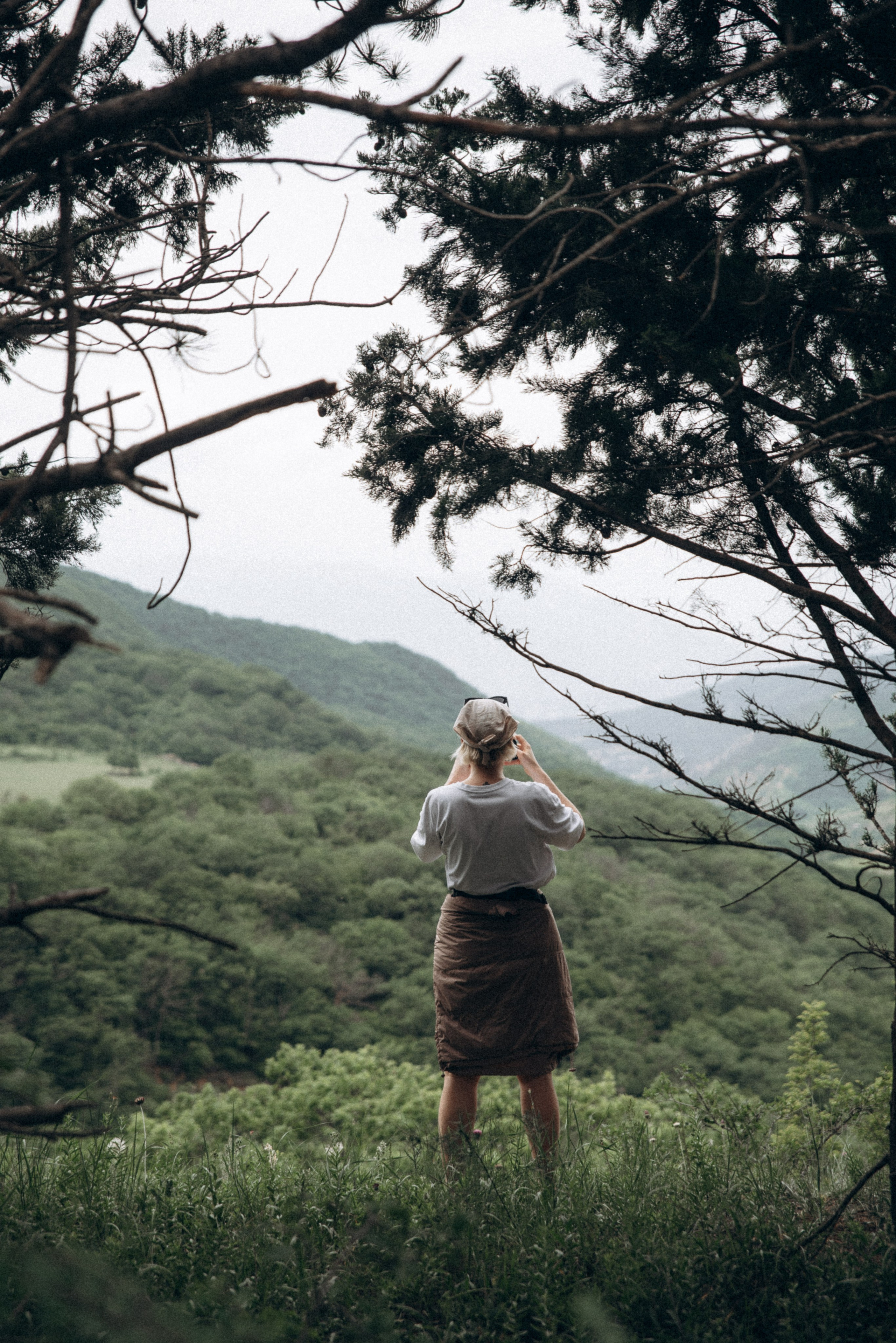 Медвежий приют, Мамкода, Грузия 🇬🇪 «Honey Trip». Anita_photo