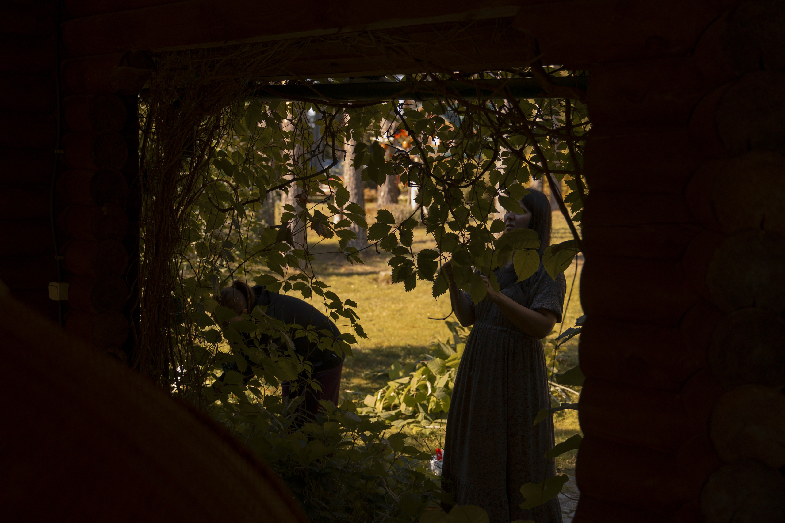 Mamma Mia! (Игорь & Катя). Wed Photographers 📷 Saint Petersburg