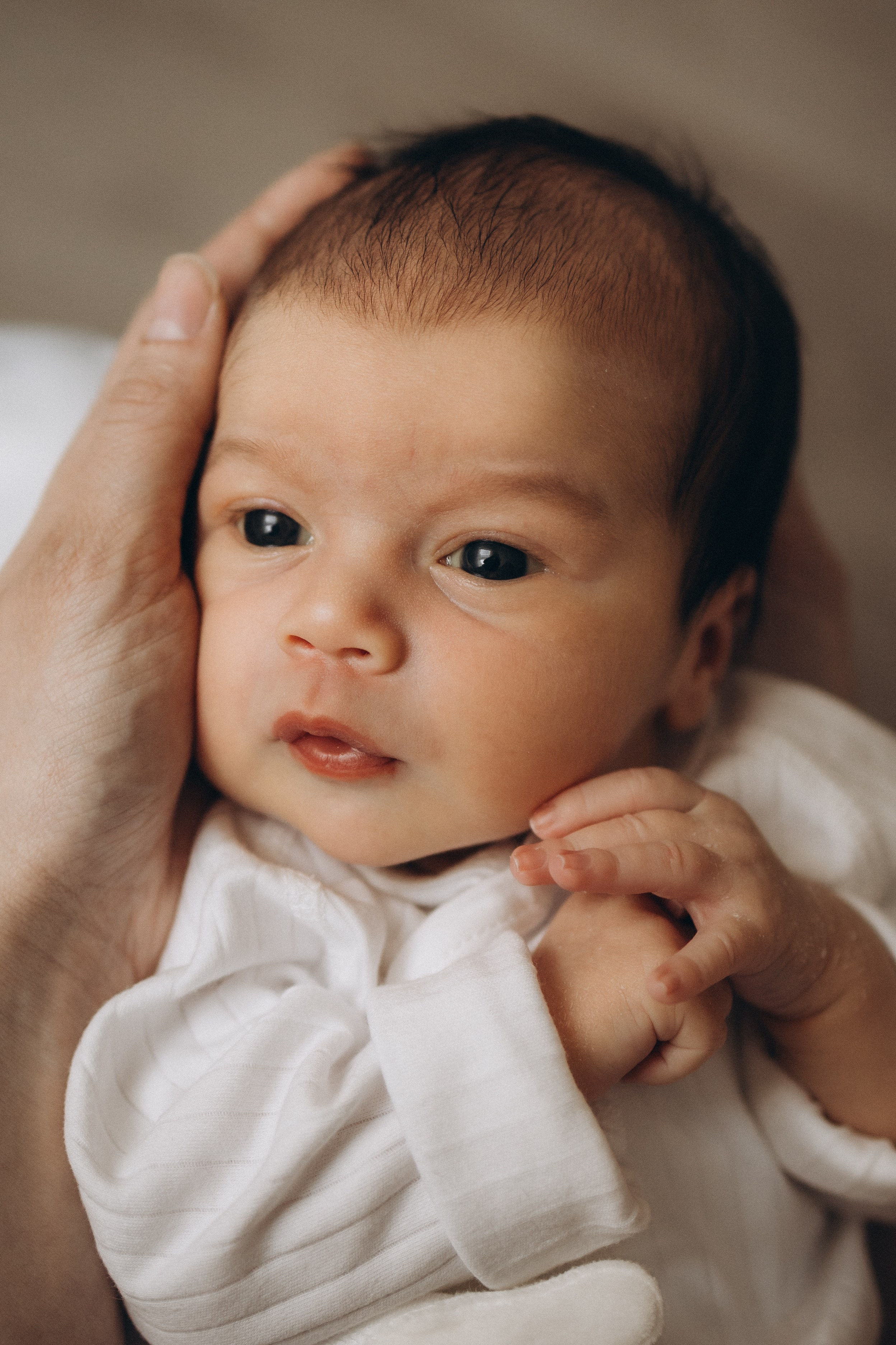 Сашеньке 2 недели. Семейный и детский фотограф, женский портрет Москва Светлана Мертикова