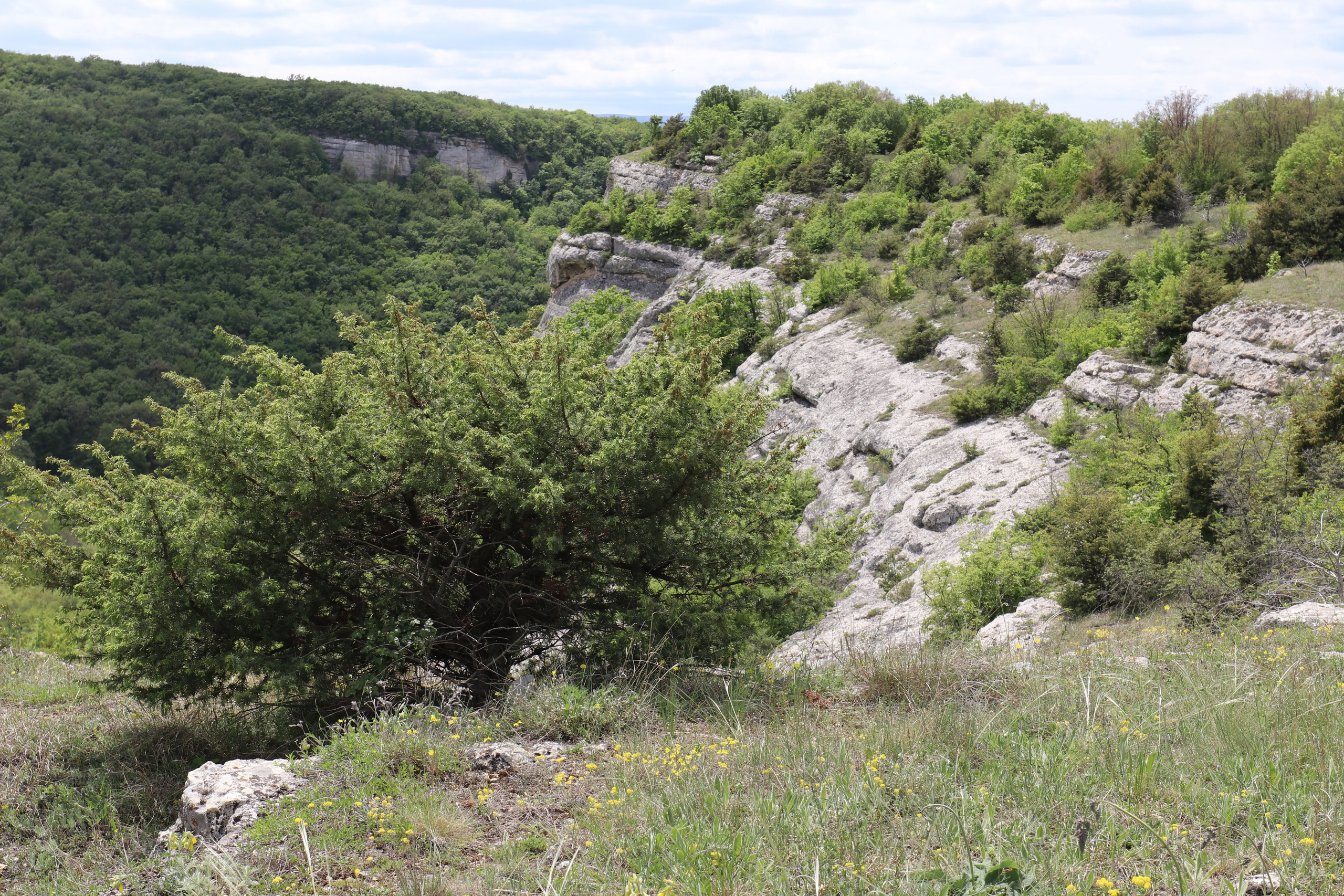 Крым. ЮБК (Бахчисарай, Демерджи, Судак). Первый скалолазный выезд. Май 2019. Путешественник-фотограф из Санкт-Петербурга Татьяна Свистулина