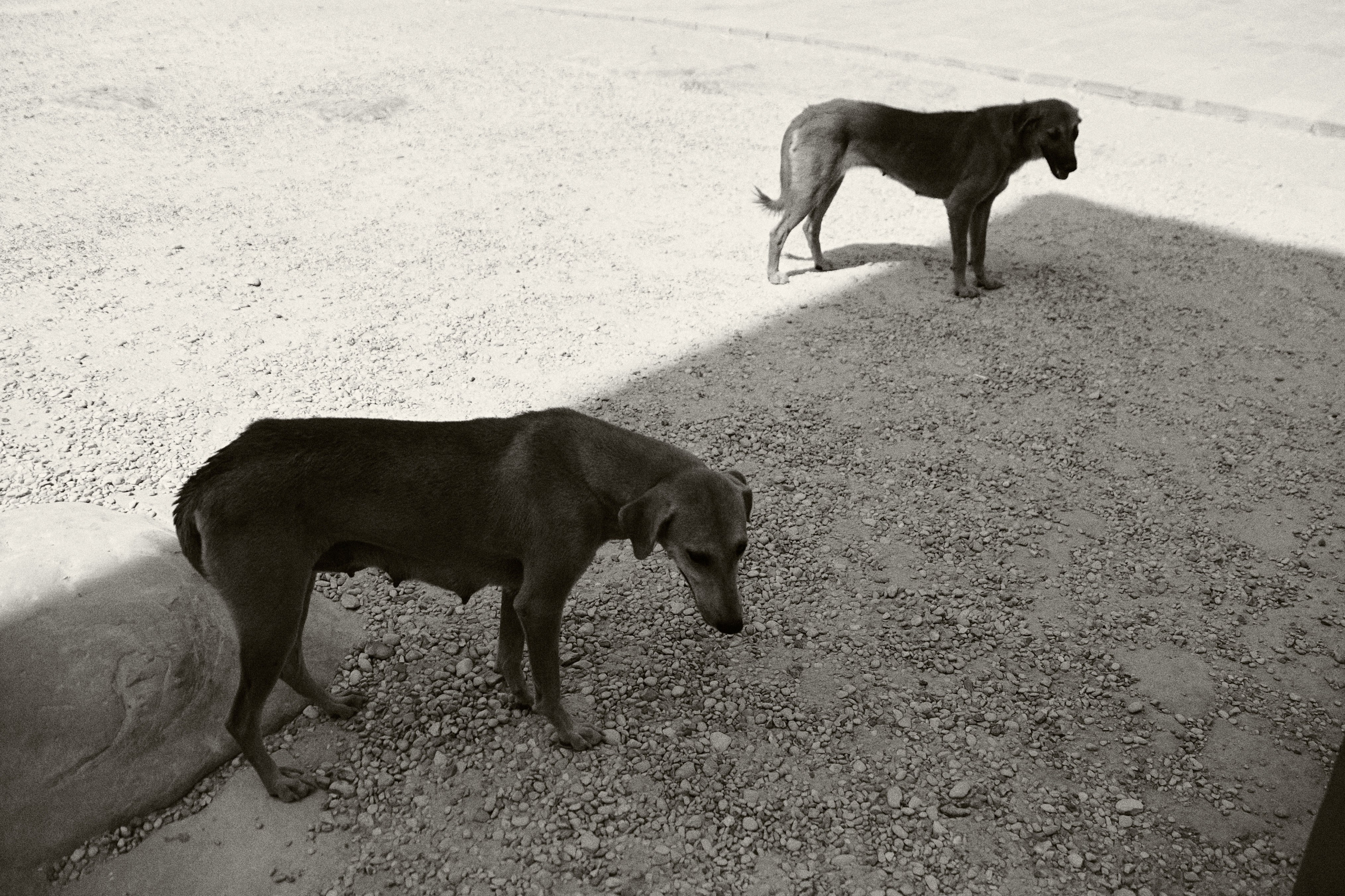 Улица горизонтальная. Jorgis — фотограф в Хургаде / обучение фотографии