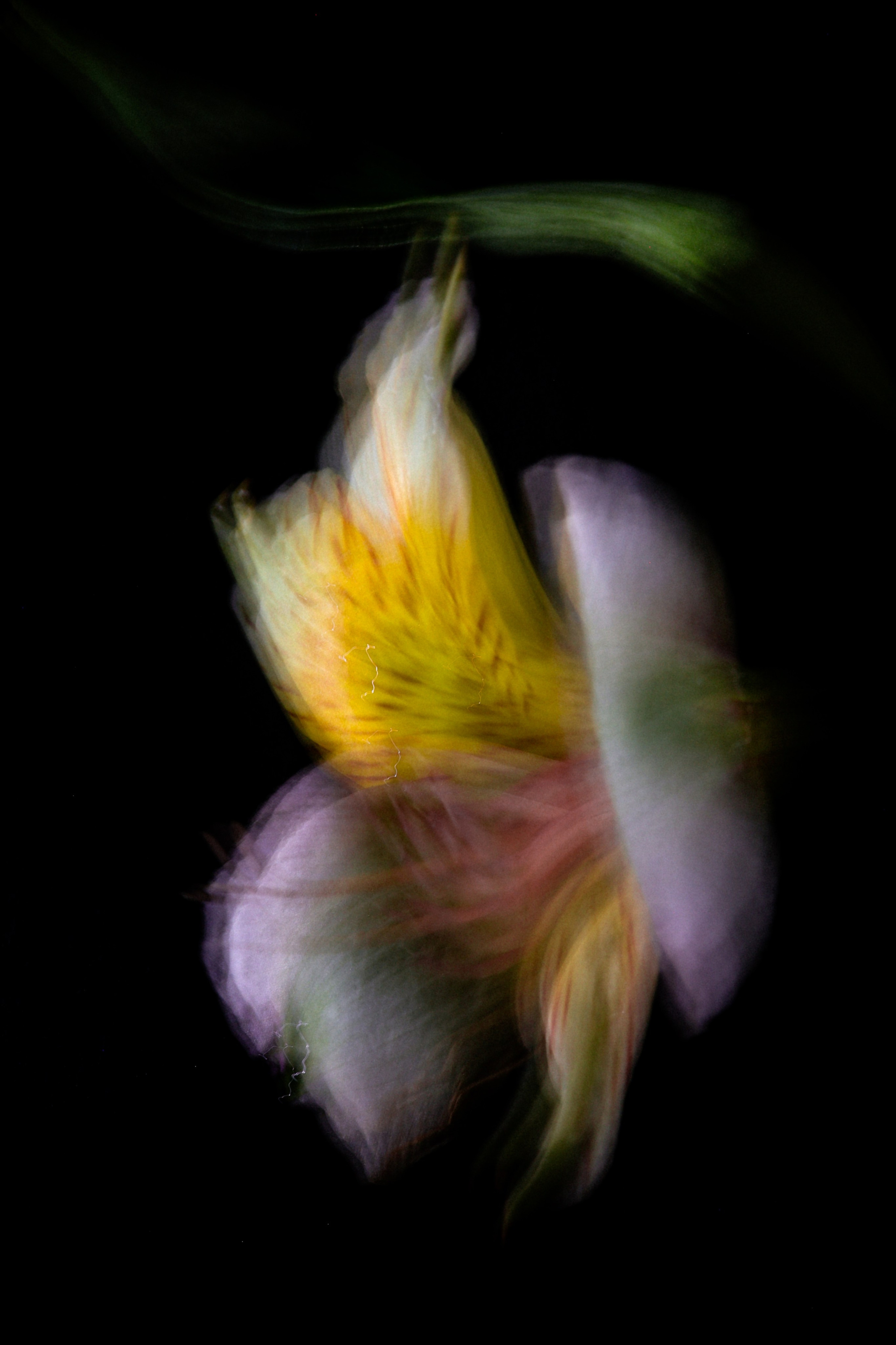 Природа &. Фотохудожник в СПб