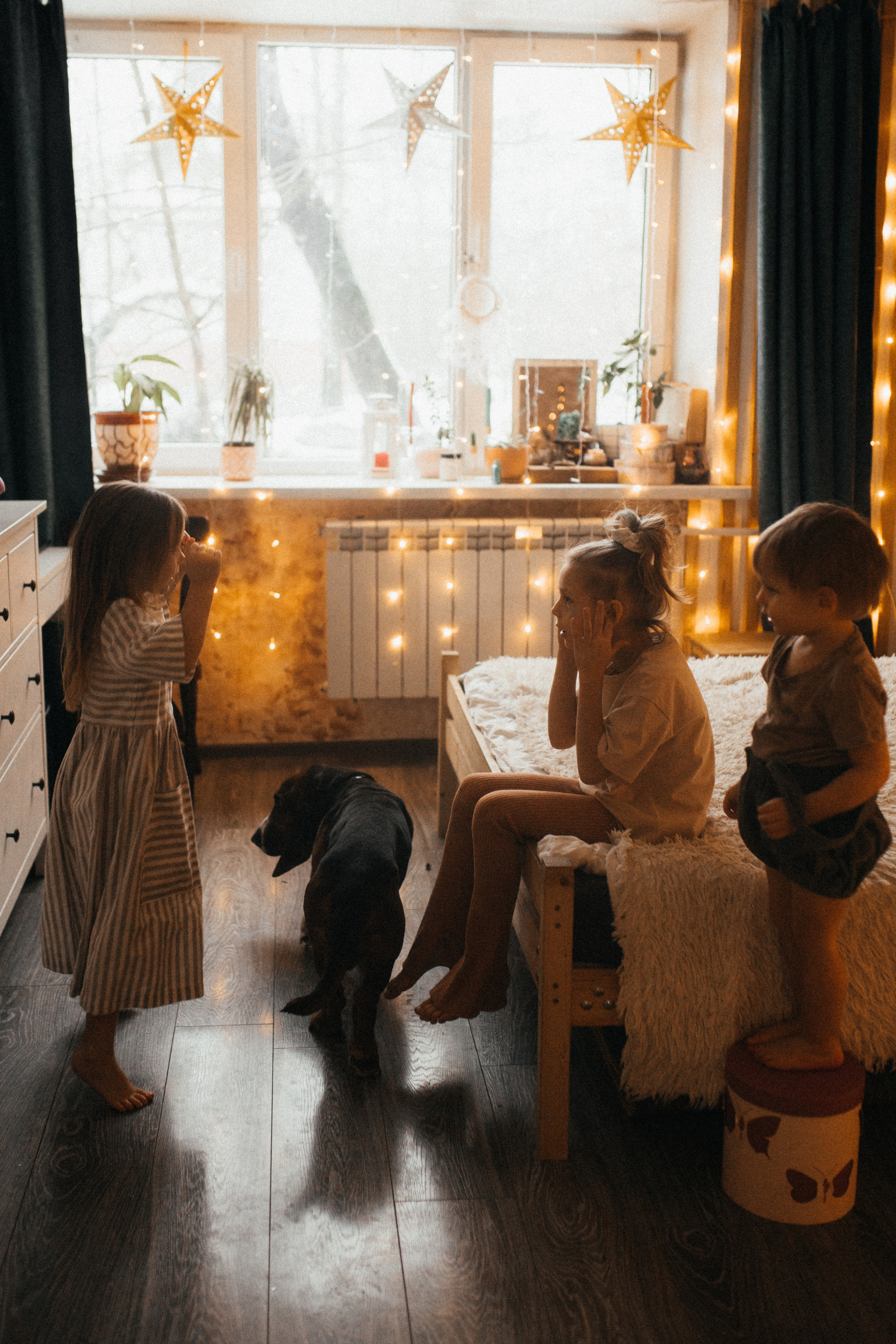 Предновогоднее настроение. Семейный и детский фотограф из Москвы, Щёлково Герасимова Вероника