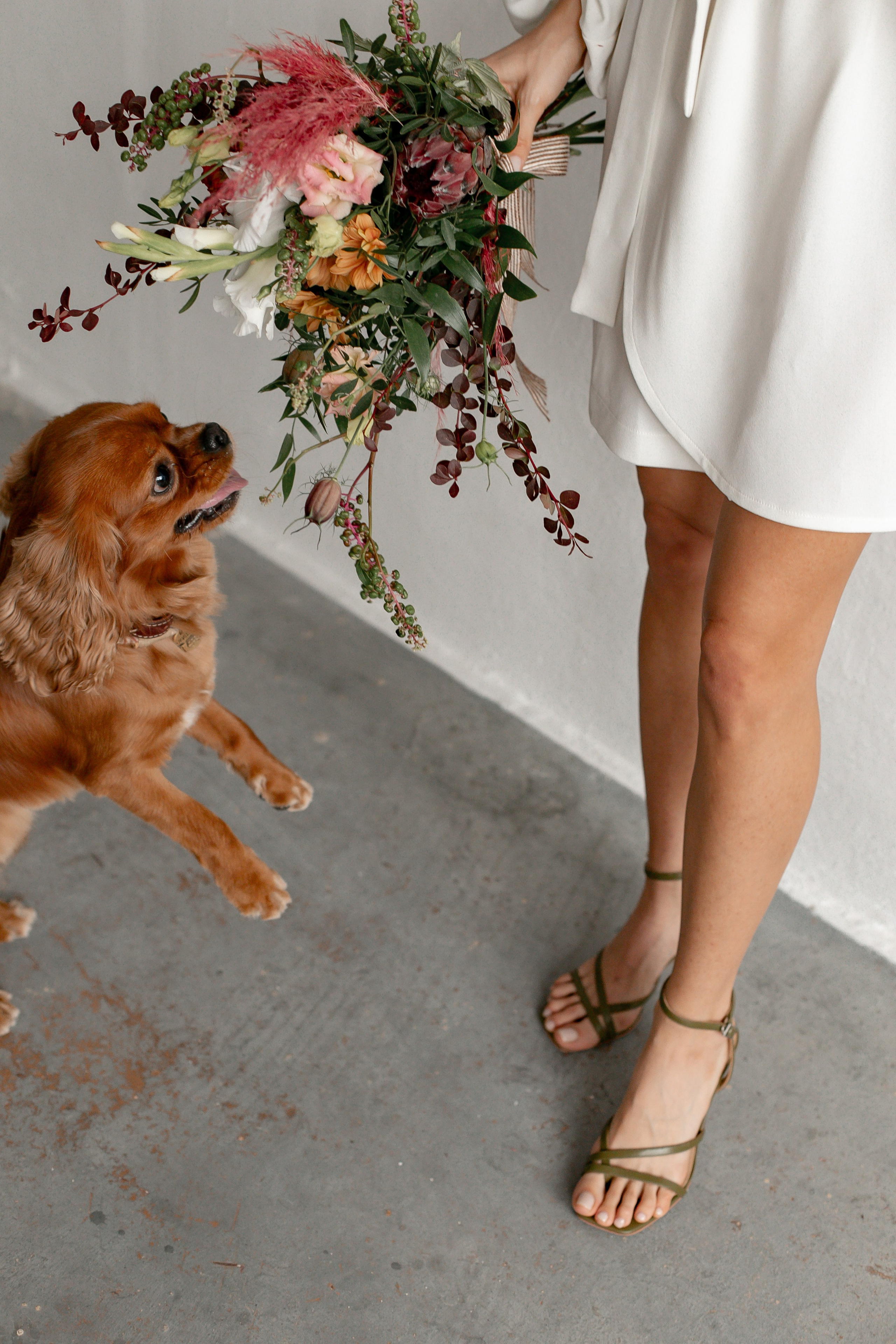 Егор + Юля. Фотограф Шевчик Виктория