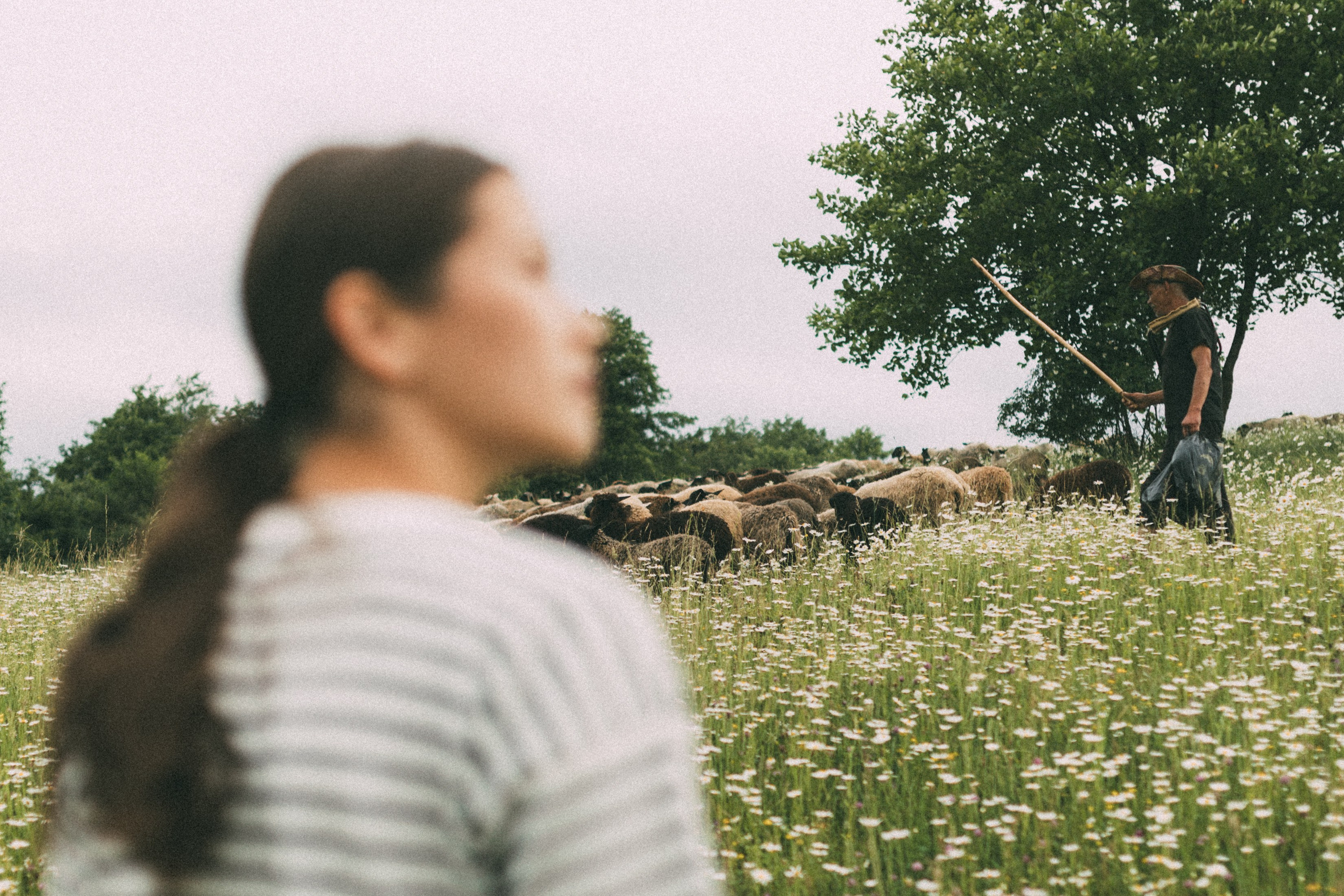 The Way. Главная