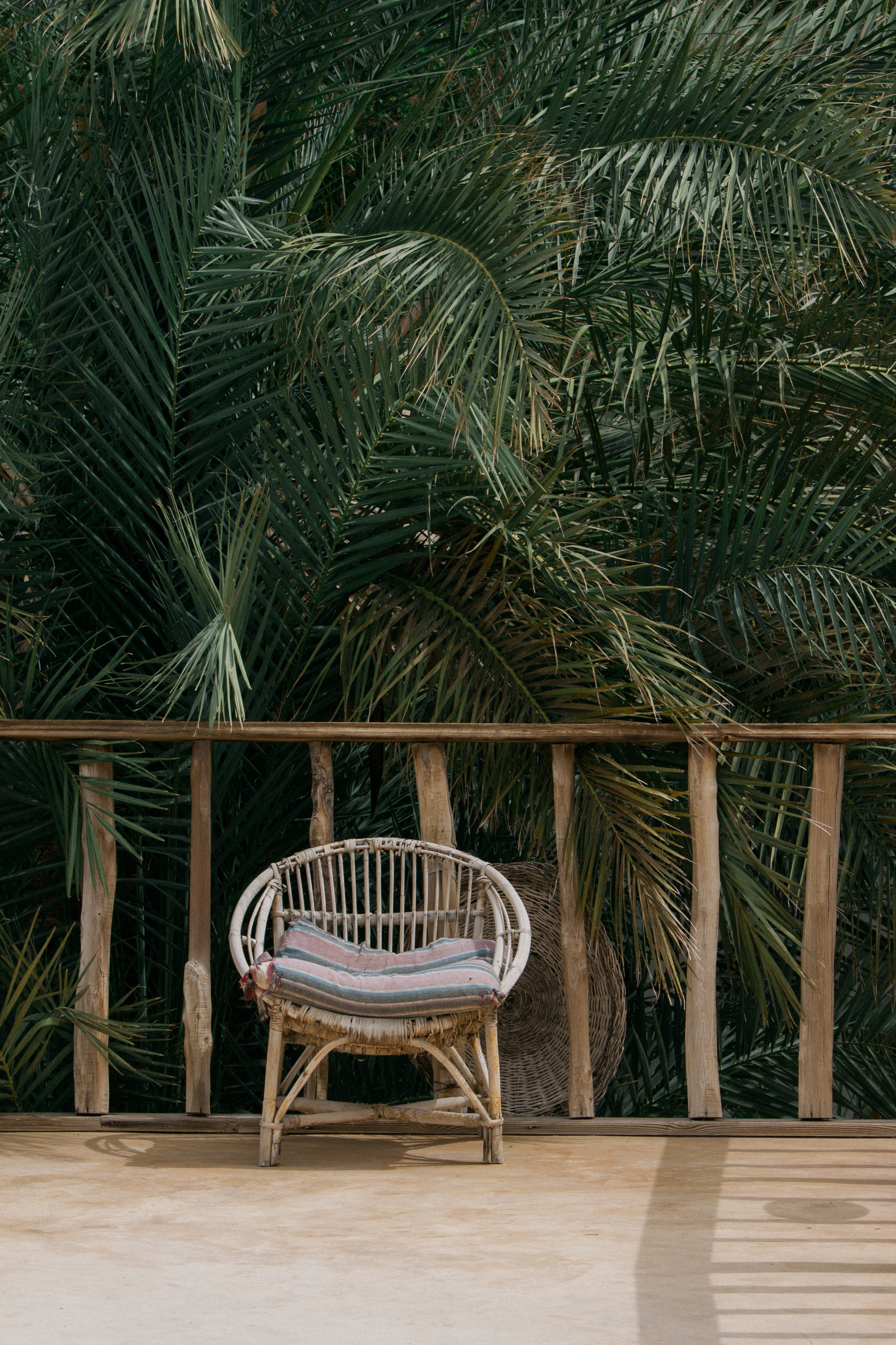 DAHABibi. Дария Галямова — фотограф: открытый, творческий, коммерческий