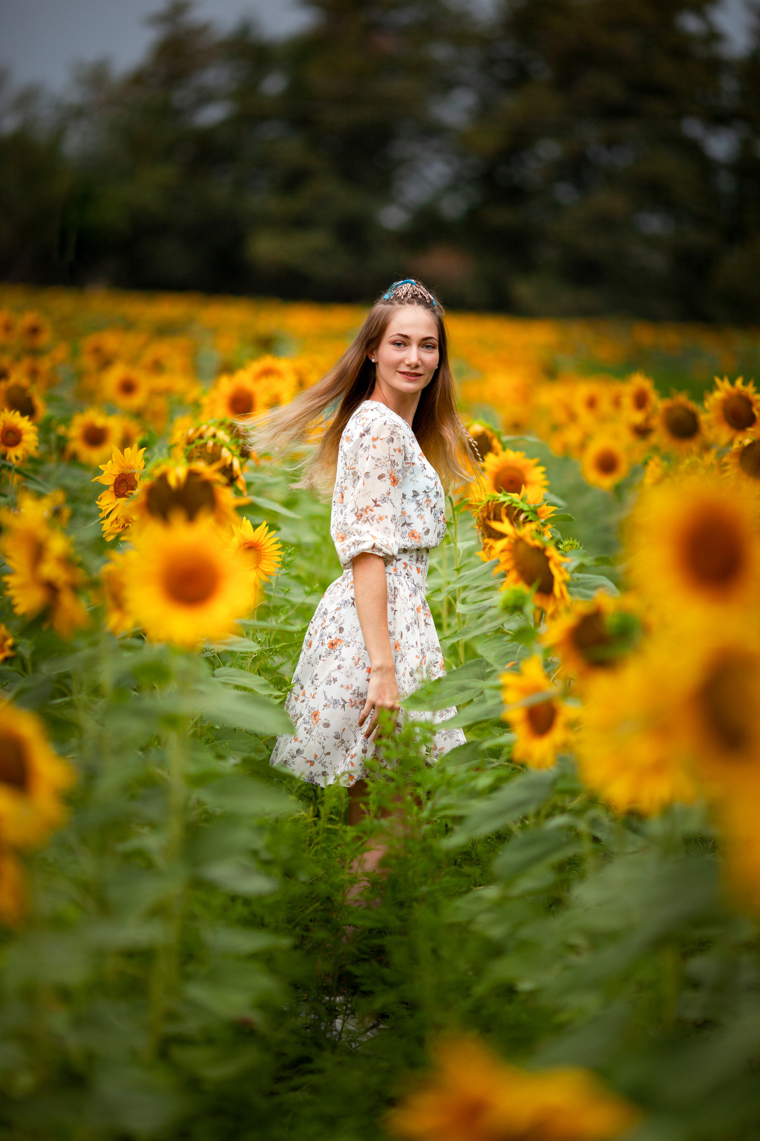 Летняя фотосессия в подсолнухах — Валерия И Анастасия. Фотограф Ставрополь Пятигорск Елизавета Дарина