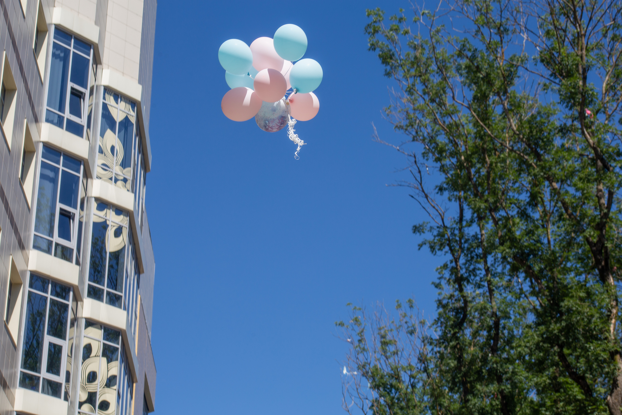 Выписка двойняшек из роддома Ставрополь Перинатальный центр. Фотограф Ставрополь Пятигорск Елизавета Дарина