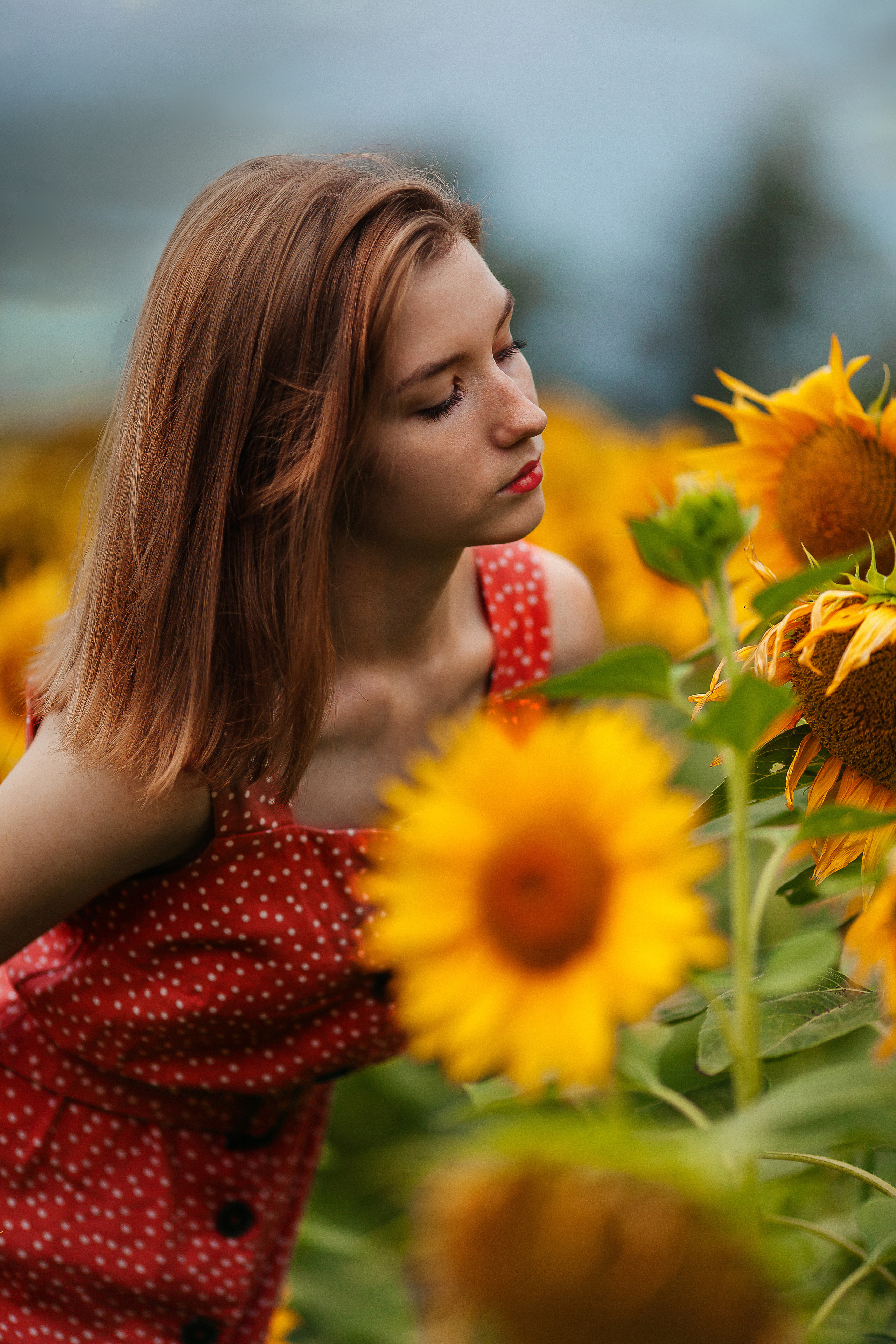 Летняя фотосессия в подсолнухах — Валерия И Анастасия. Фотограф Ставрополь Пятигорск Елизавета Дарина