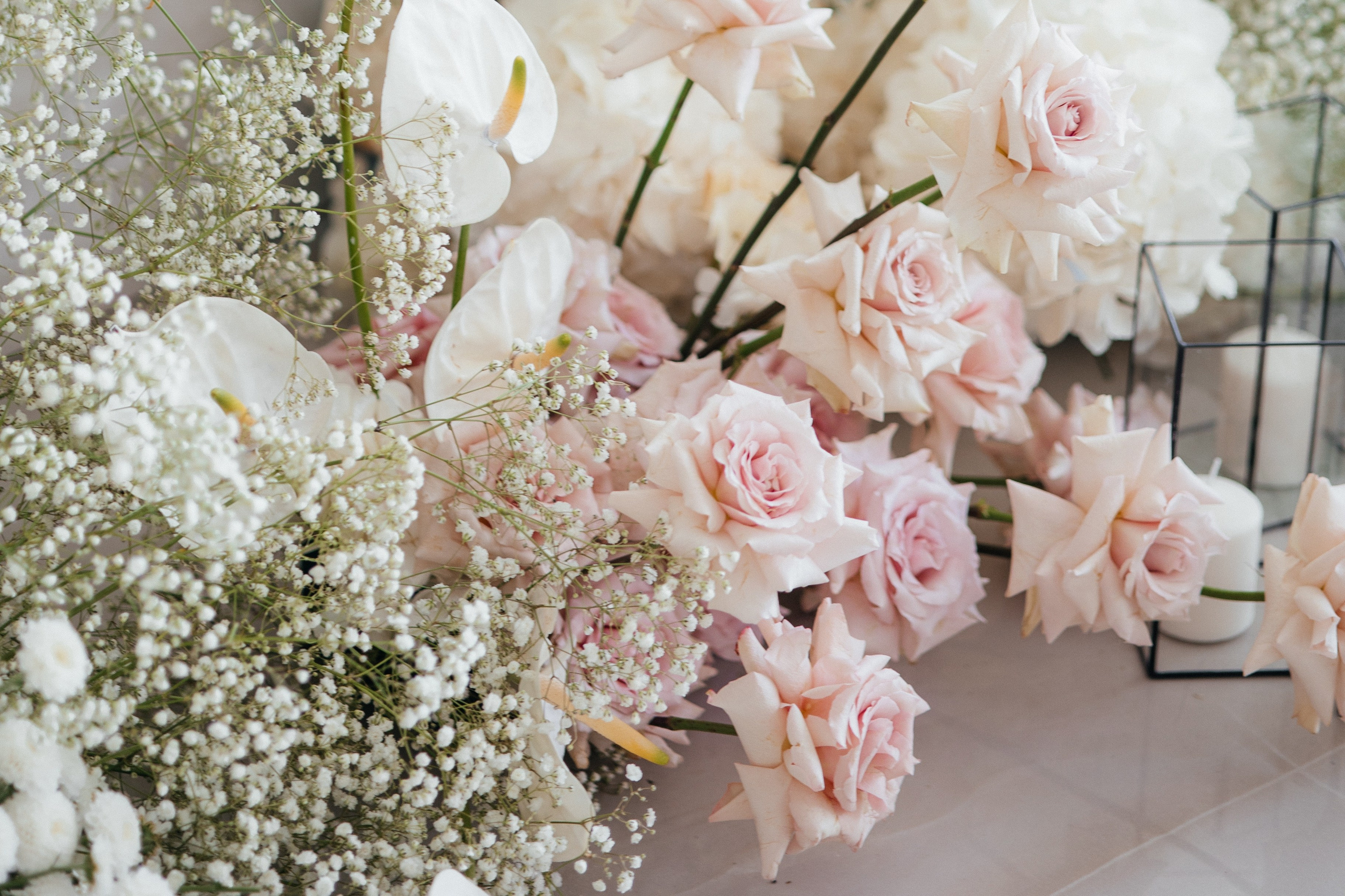 Ангелина и Сергей. Свадебный фотограф Минск РБ