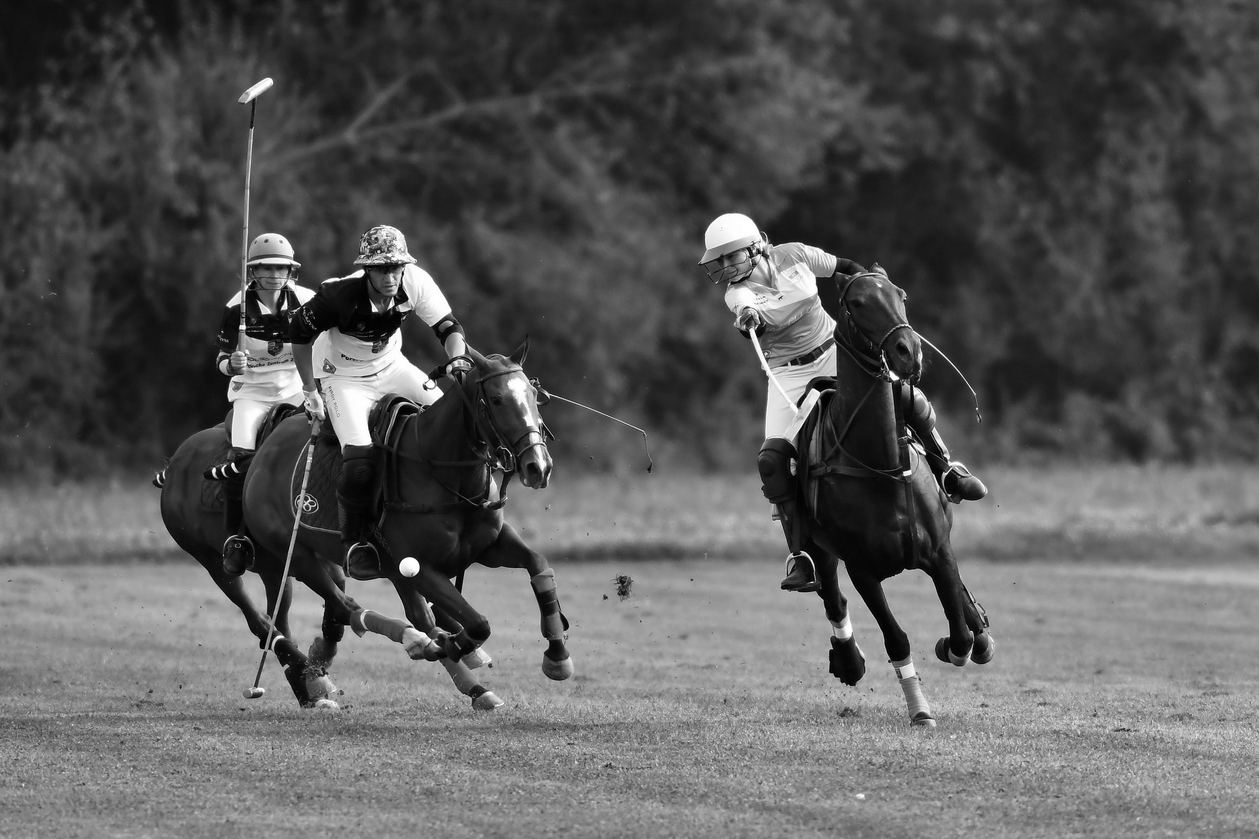 Polo art photos. Art photos of horses — ARTUR BABOEV | Photographer