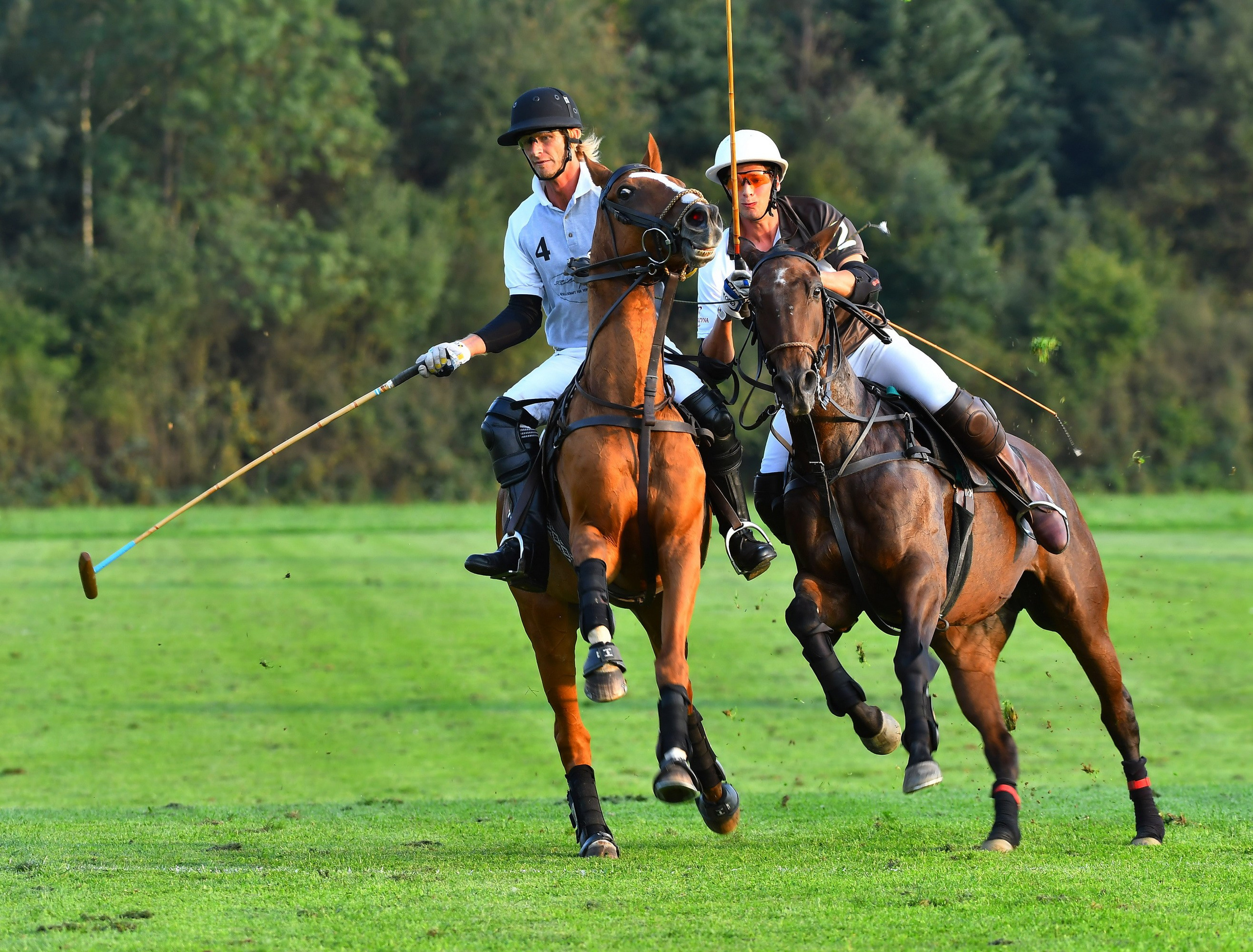 Polo art photos. Art photos of horses — ARTUR BABOEV | Photographer