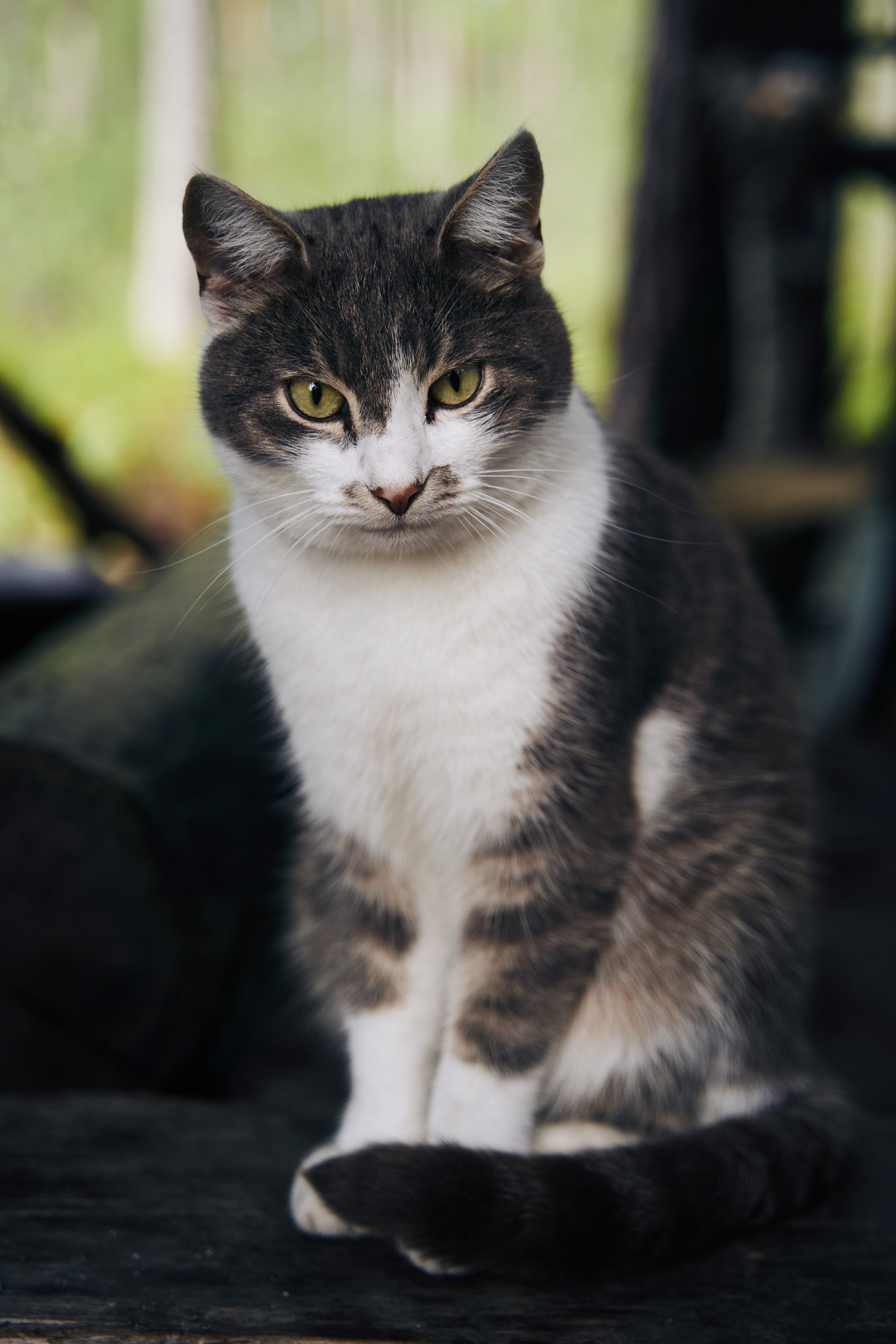 Клуб «Время праздновать» на Ладоге 2022. Фотограф и видеограф Ольга Корчун