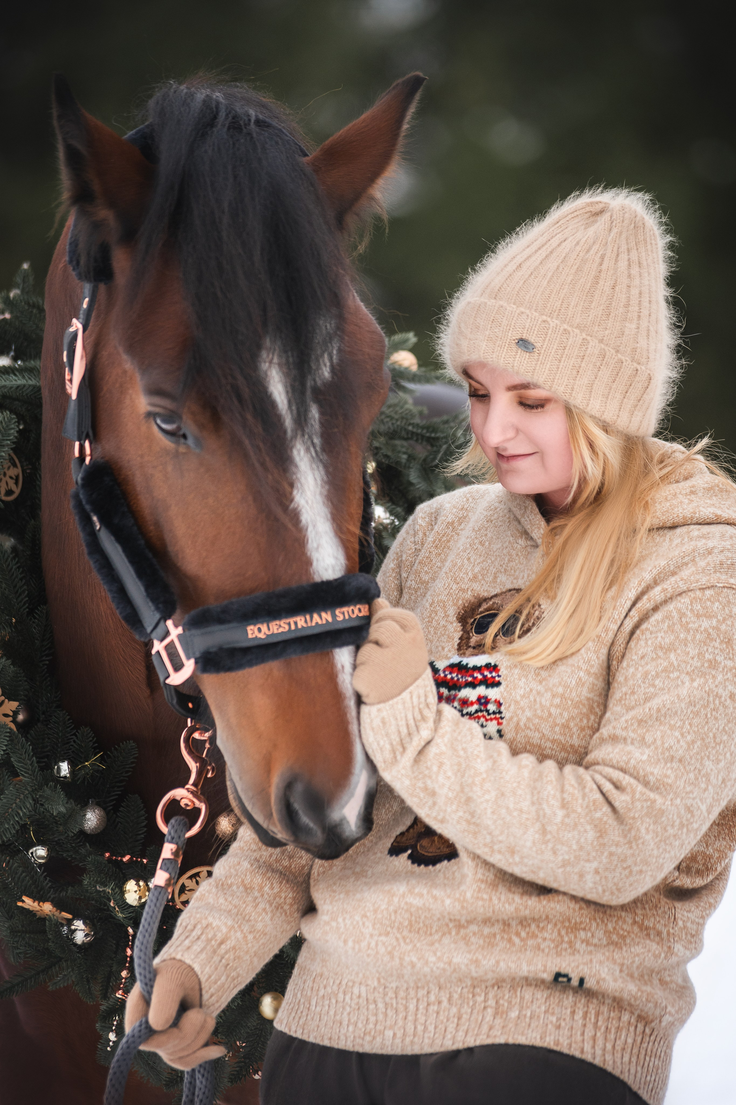 Новогодний Волконский. Конный фотограф Куракина Дарья • Фотосессии с лошадьми