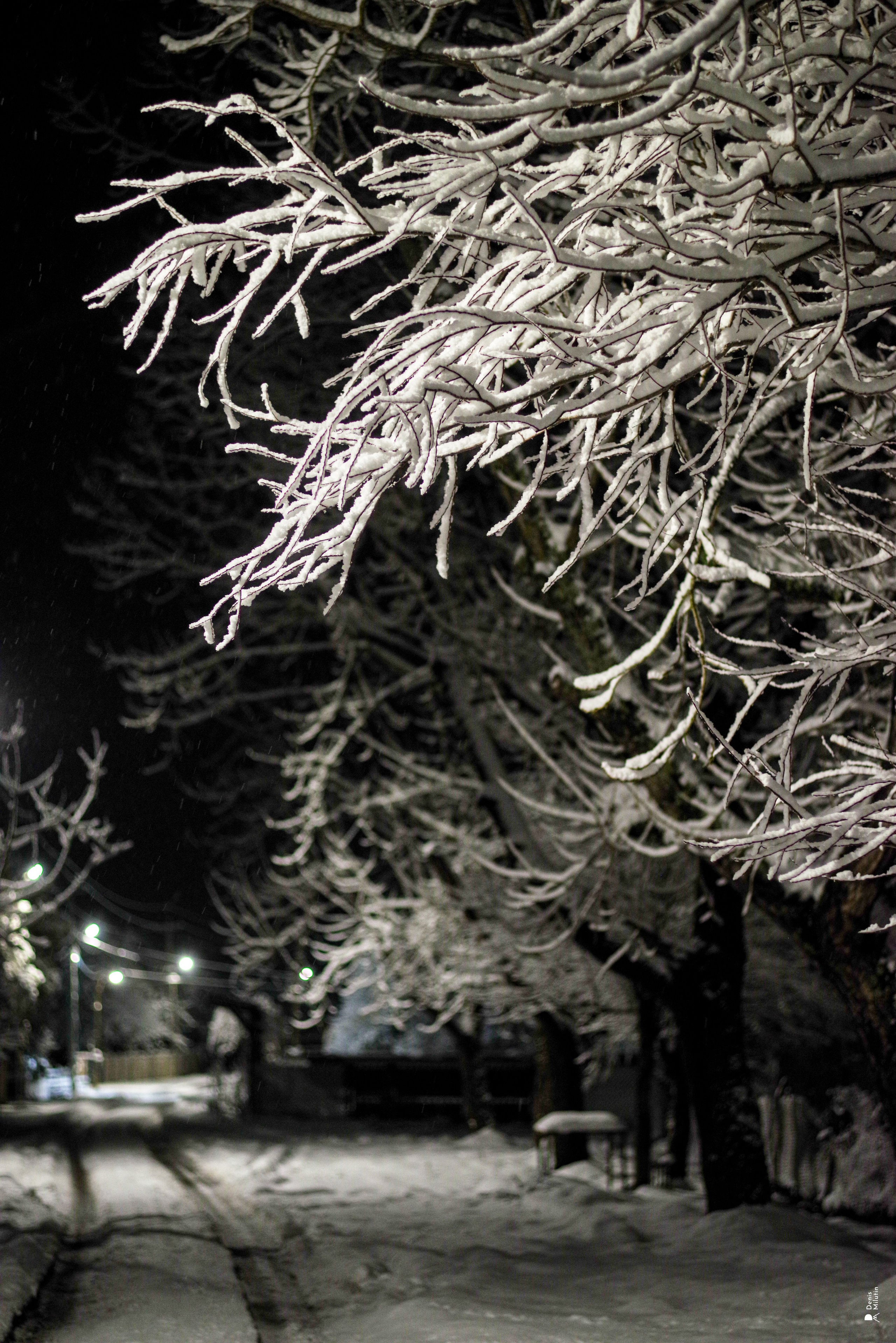 Ночь в Менджи. Портретный фотограф Денис Милютин