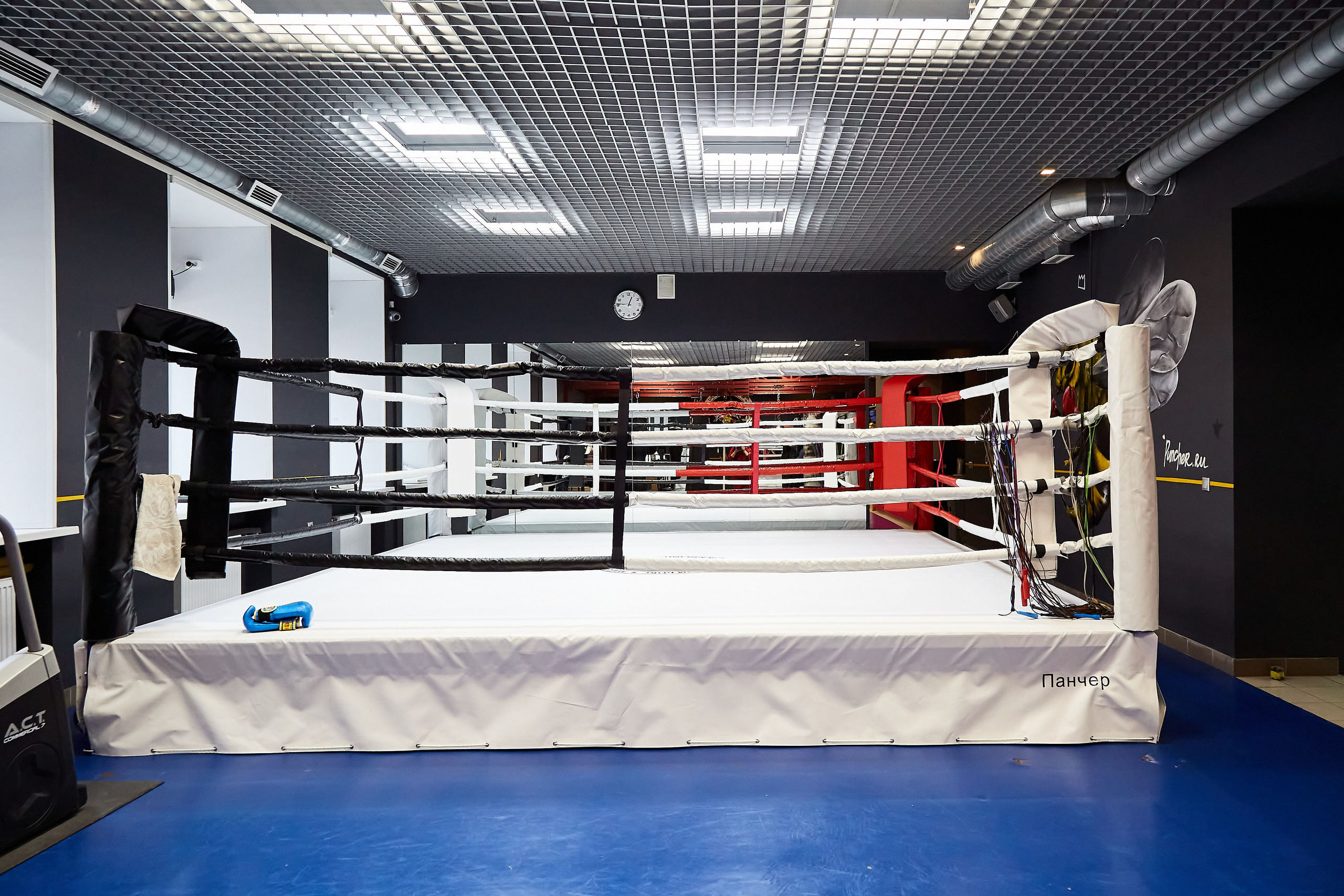 Бойцовский клуб Панчер. Фотограф Анастасия Леонтьева Санкт-Петербург