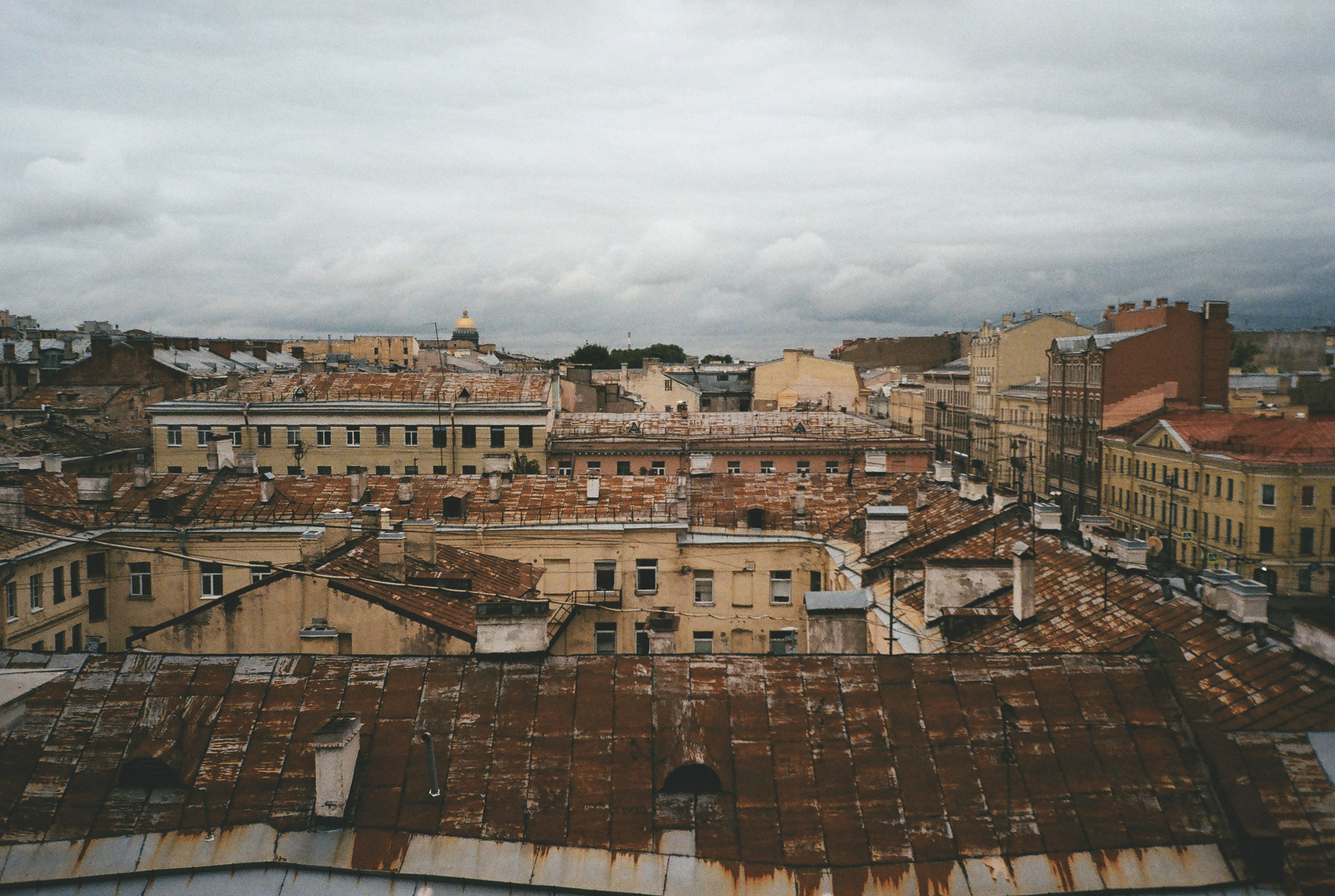 Фотографии цветные. Свадебный и семейный пленочный фотограф в Петербурге Истомина Ирина