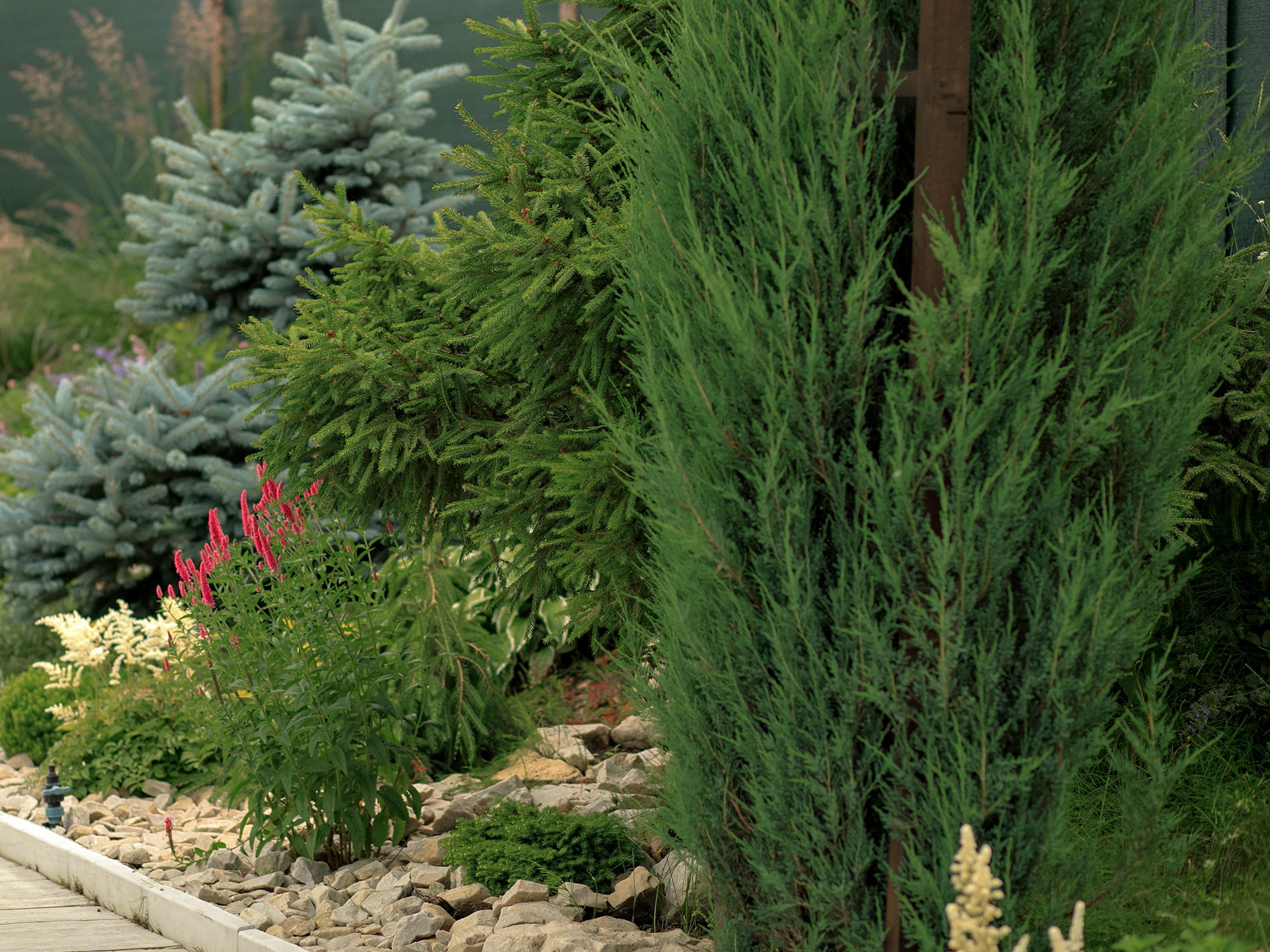 Парк-заповедник Купидон. Семейный фотограф в Димитровграде Елена Патрушева
