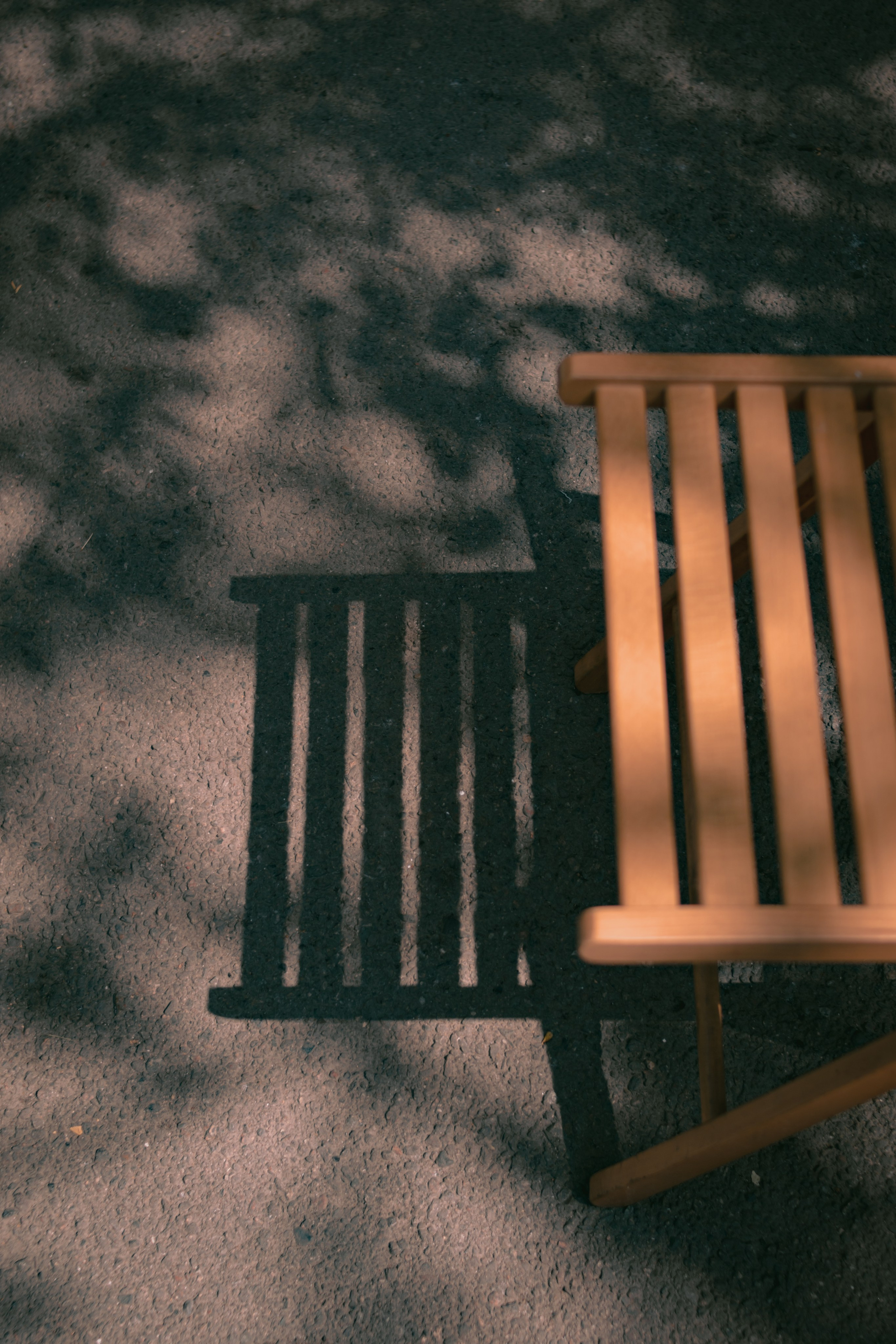 Визуальный дневник. Репортажный фотограф в Алматы Цой Сергей