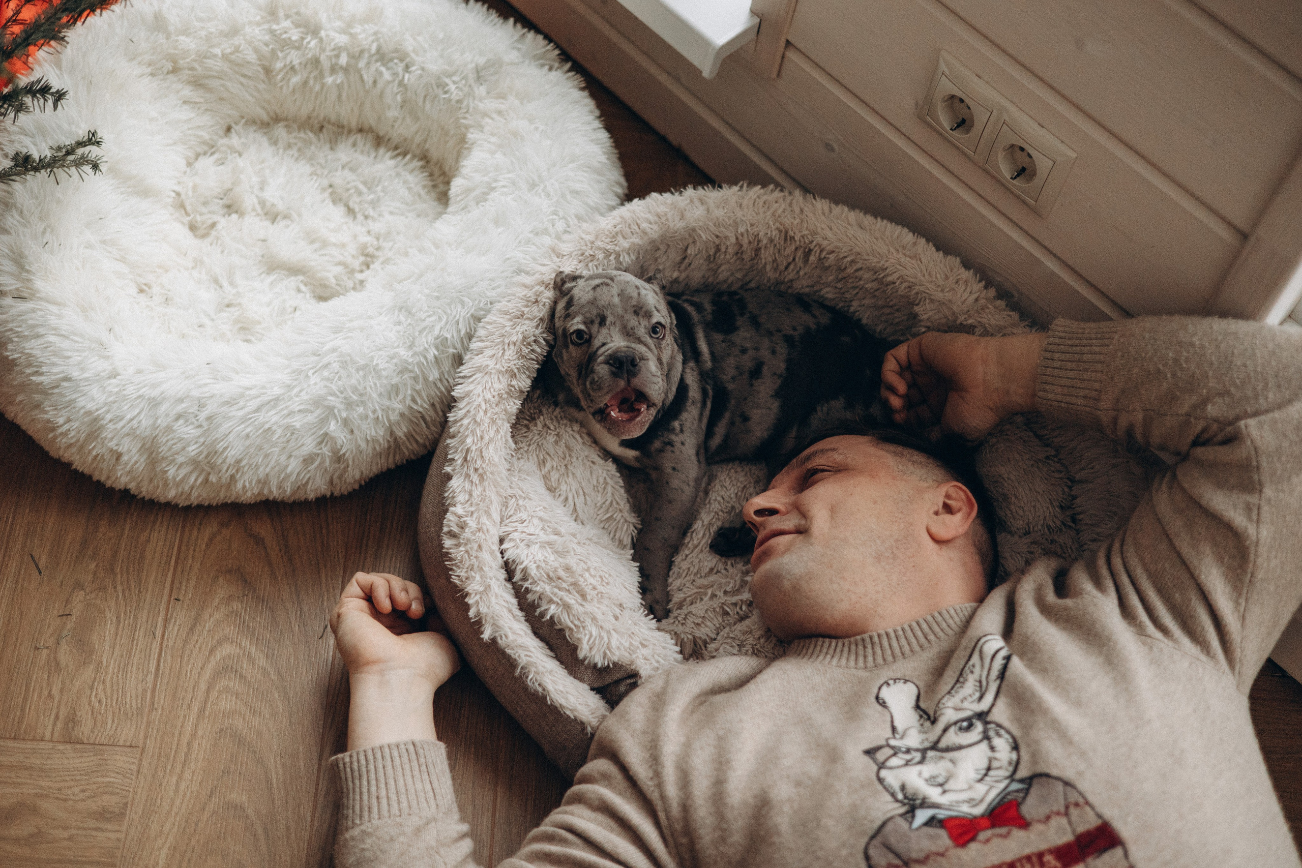 Семейная для Ксюши. Фотограф — Анималист | Санкт-Петербург