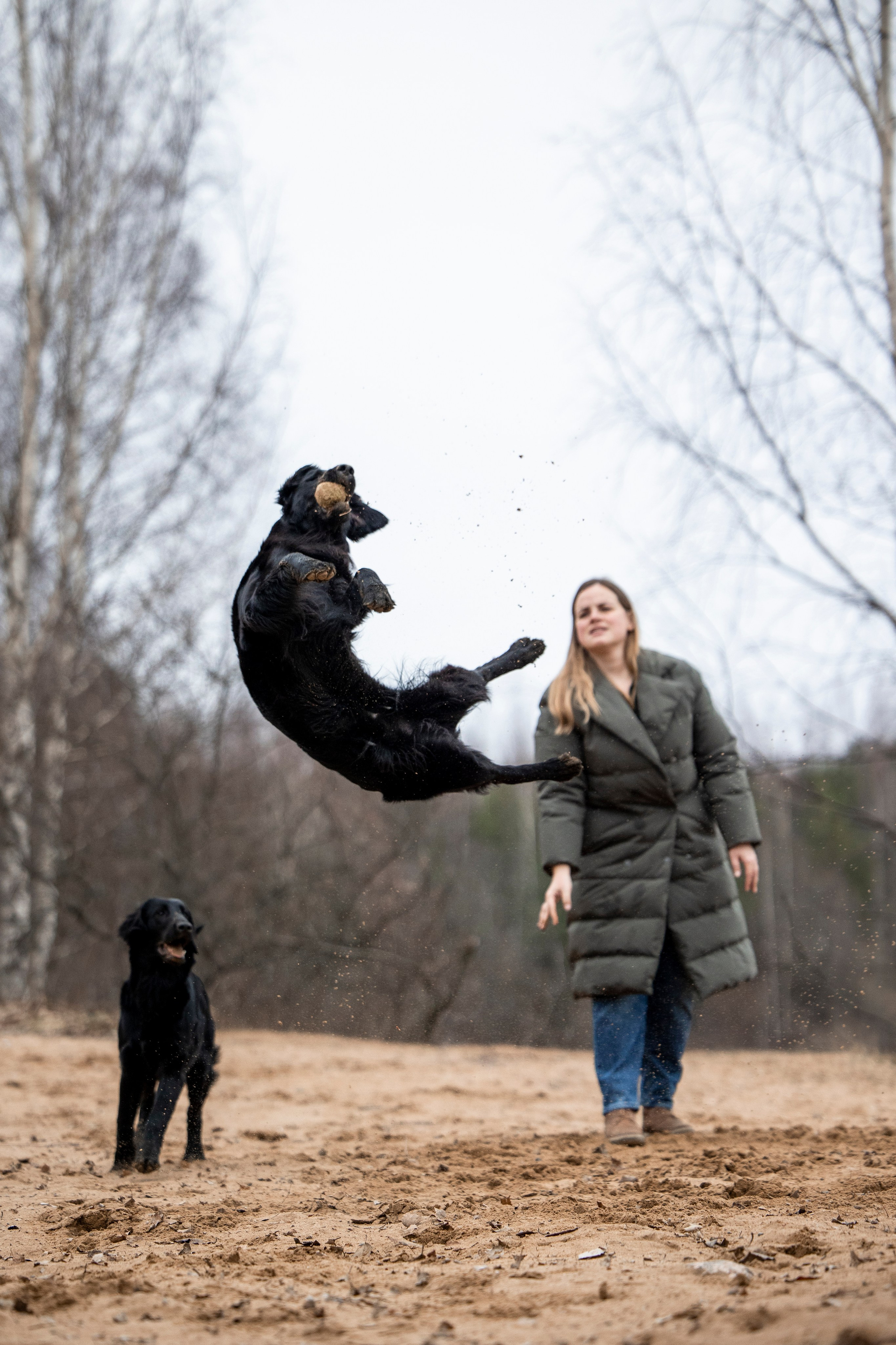 Ора, Ева, Рози и их семья. Фотограф — Анималист | Санкт-Петербург