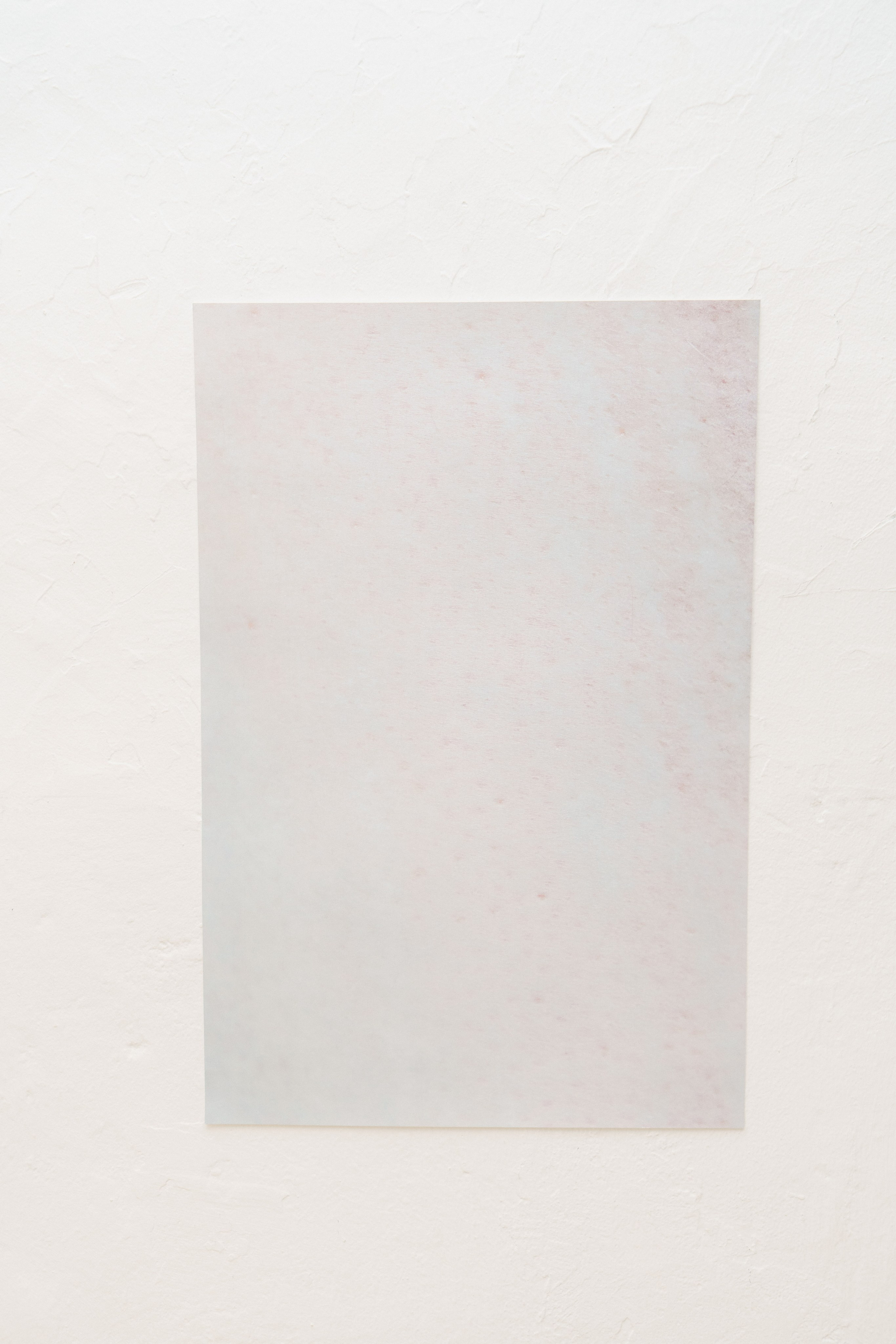 Эффект присутствия. Козлова Екатерина. Междисциплинарная визуальная художница