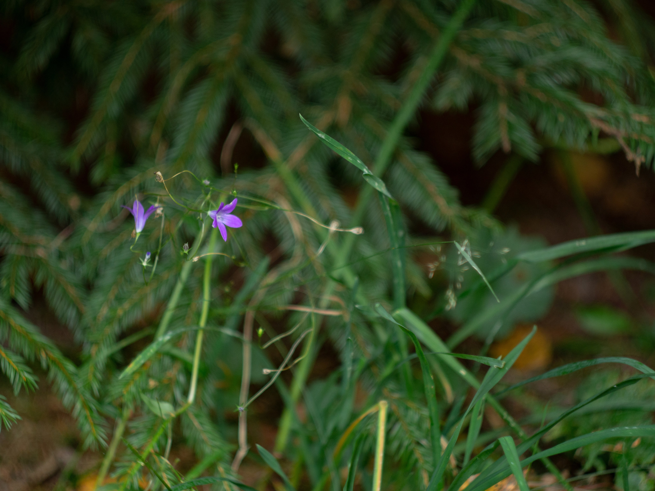 20230923-25 Родники. Дмитрий Ремизов. Фотография, как хобби