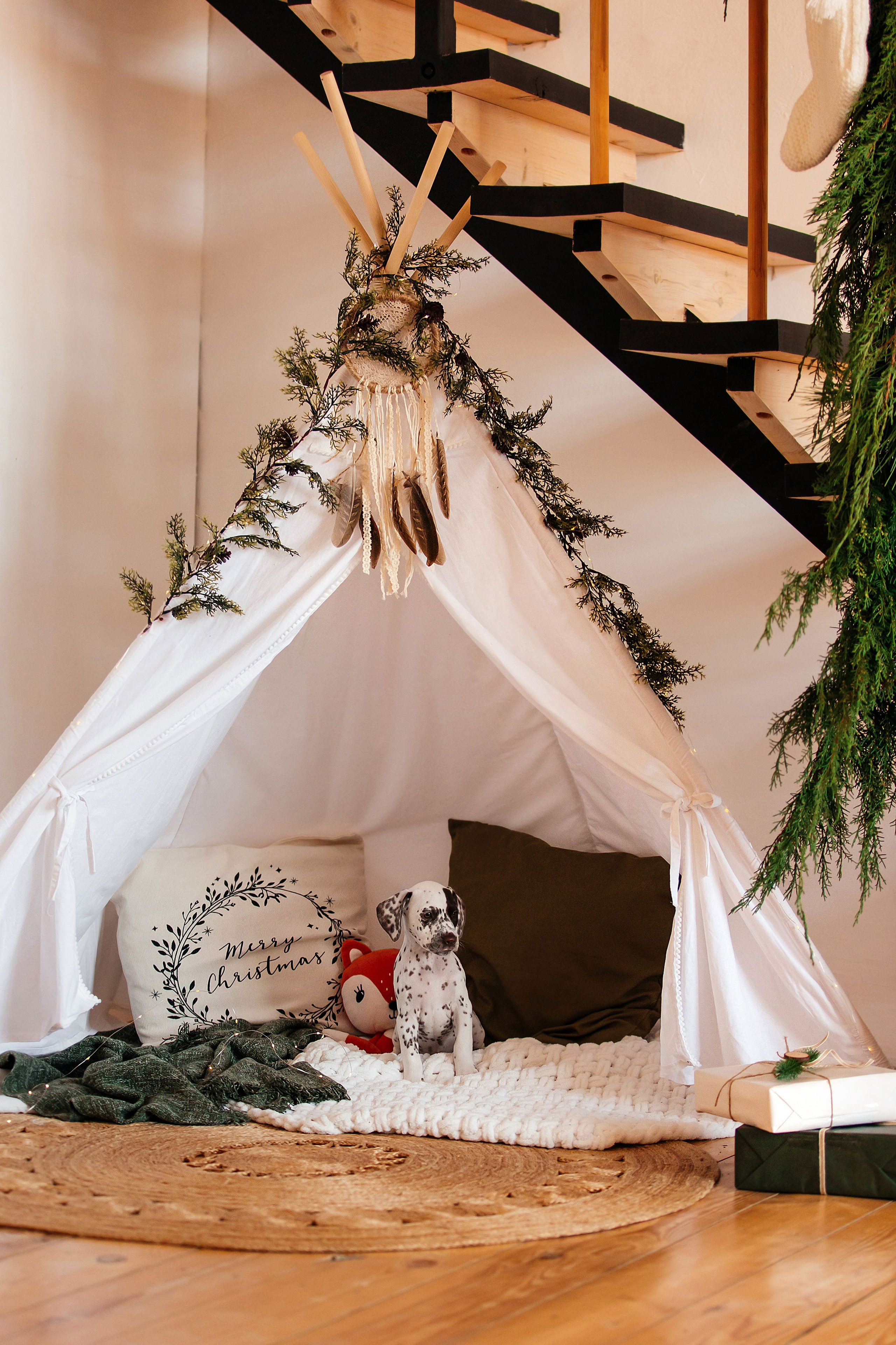 Далматины в новогодней фотостудии. Фотограф-анималист в Краснодаре Маша Мельникова