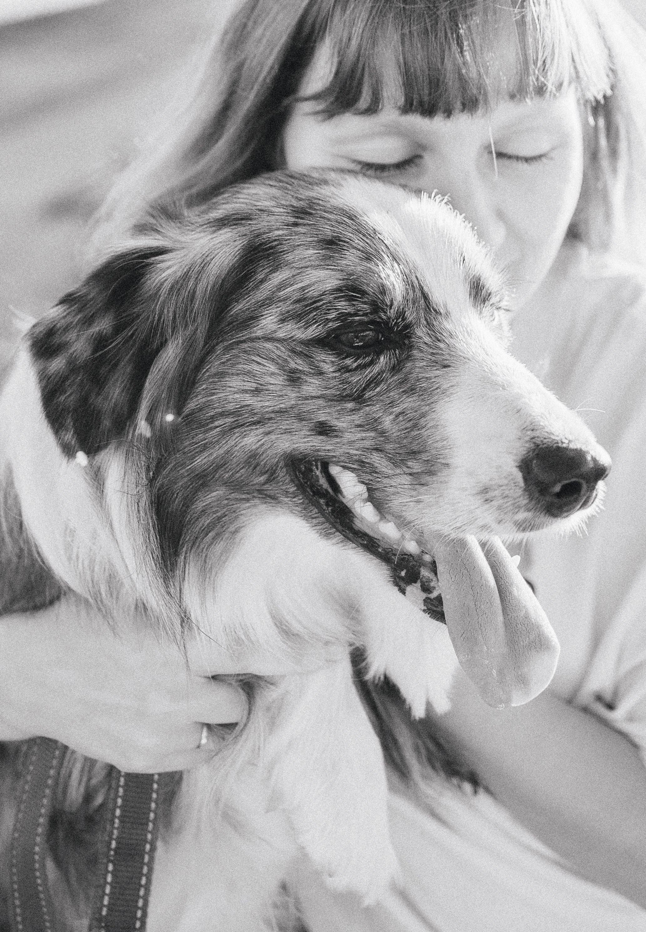 Таня и Бриллиант. Фотограф-анималист Богданова Полина