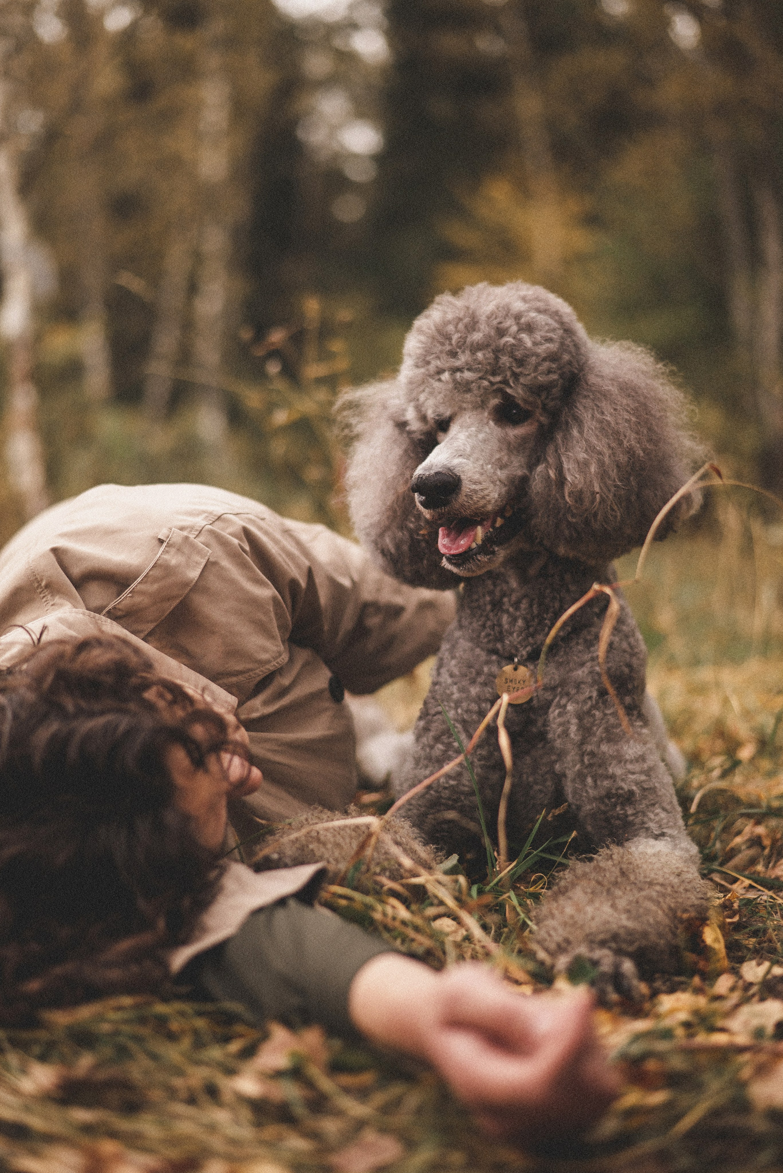 Алёна и Смоки. Фотограф-анималист Богданова Полина