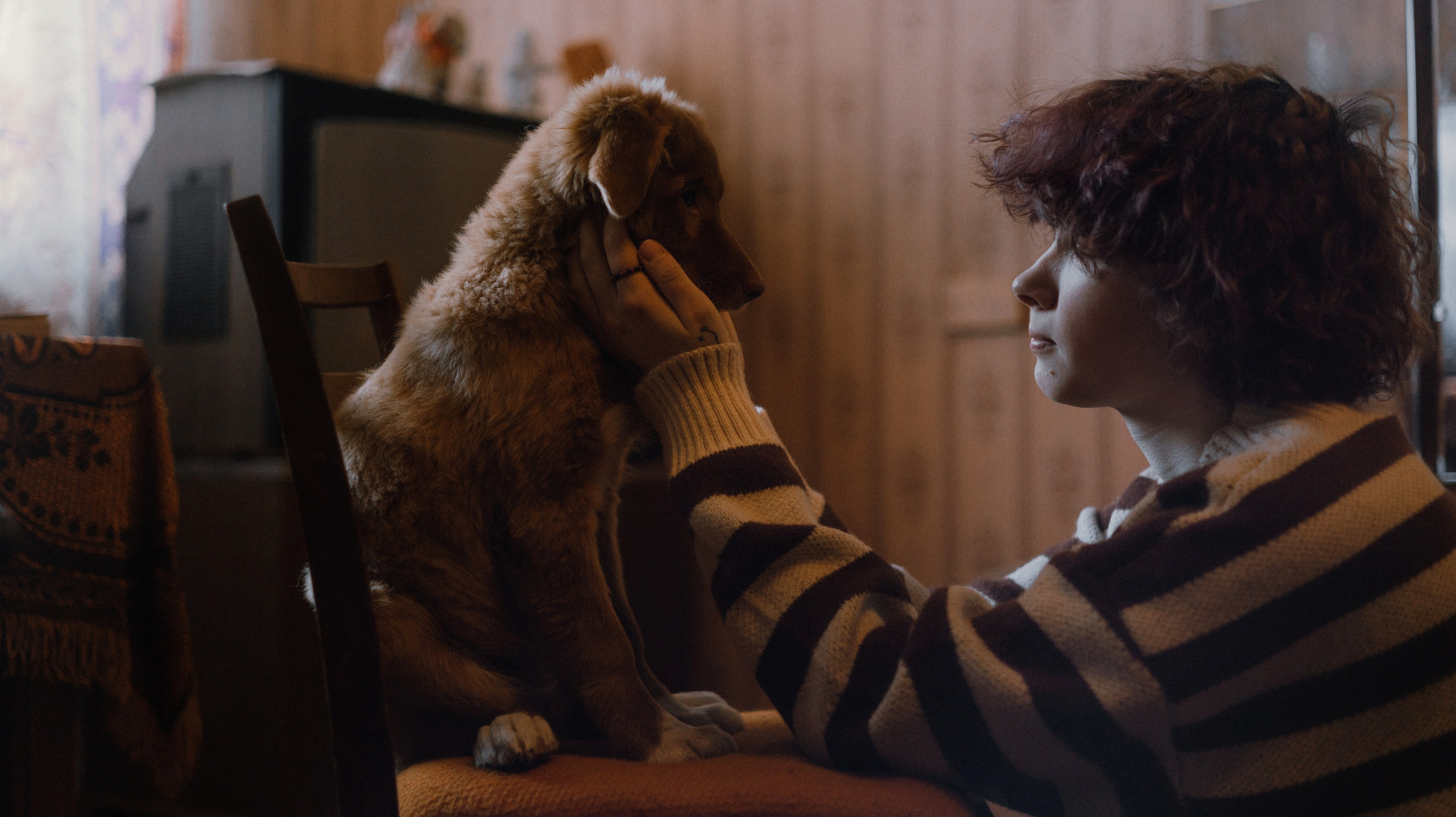 Лера, Реджи и Ральф. Фотограф-анималист Богданова Полина