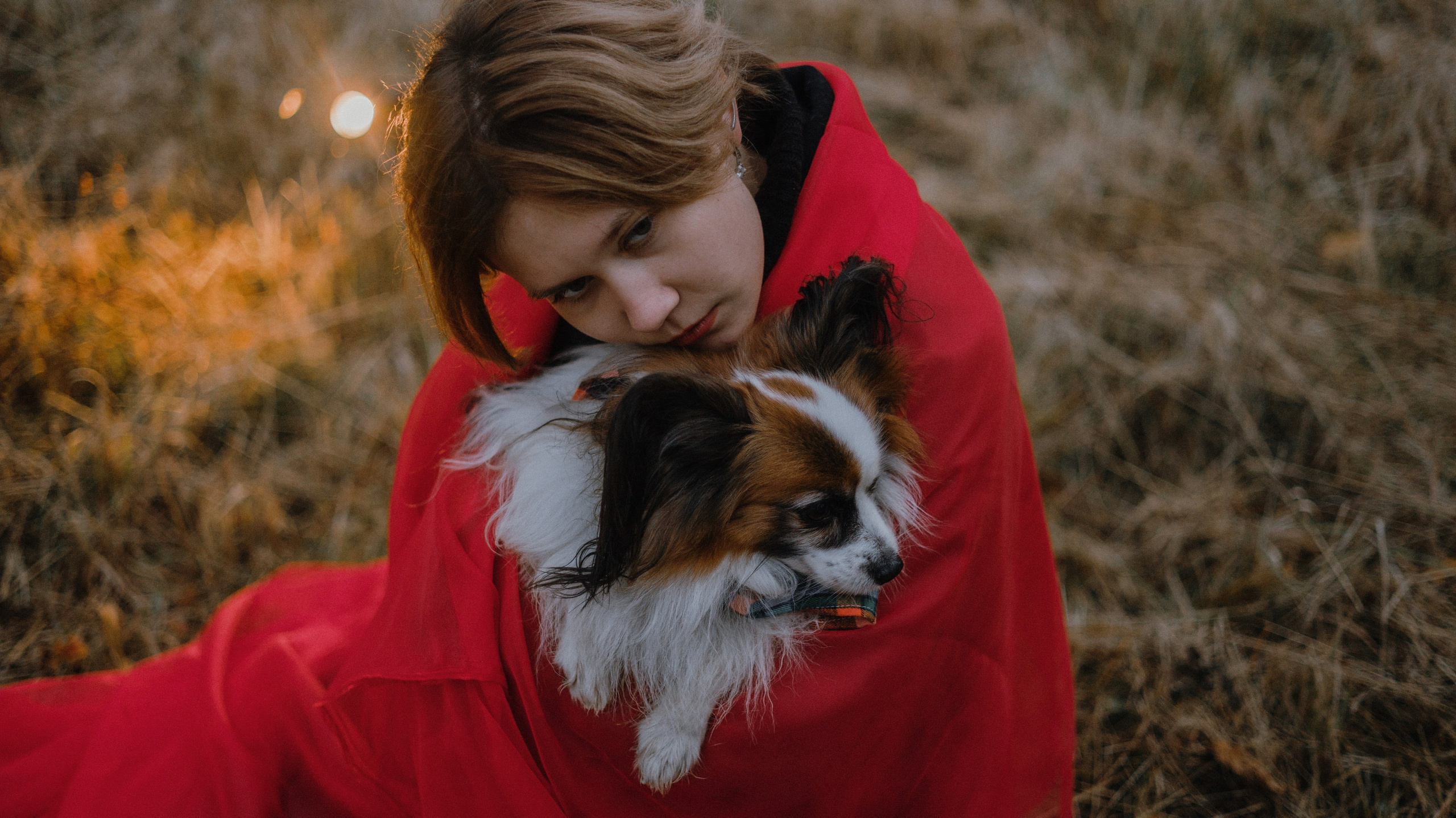 Маша, Катя, Астрид и Мася. Фотограф-анималист Богданова Полина