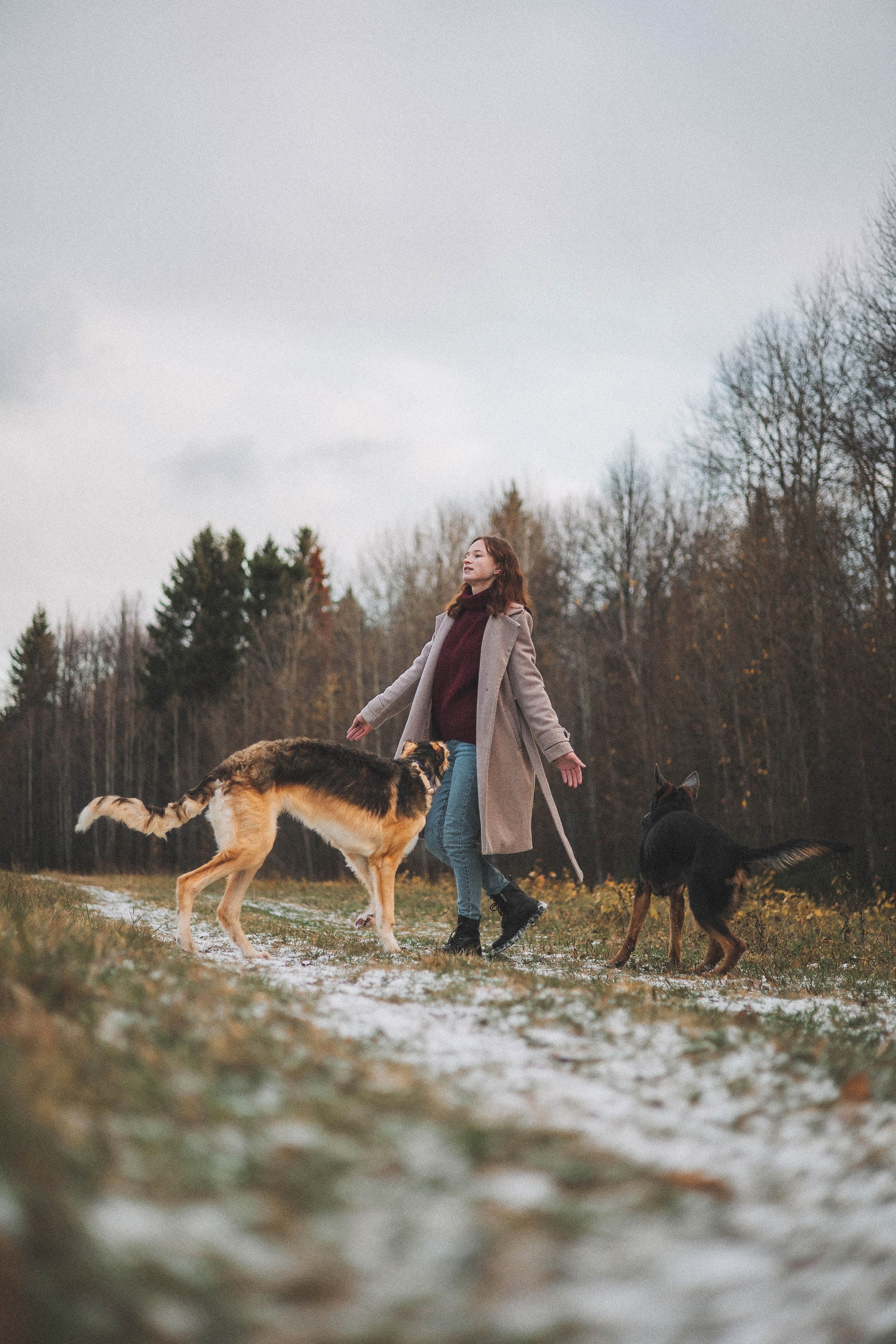 Алена, Леви и Микаса. Фотограф-анималист Богданова Полина