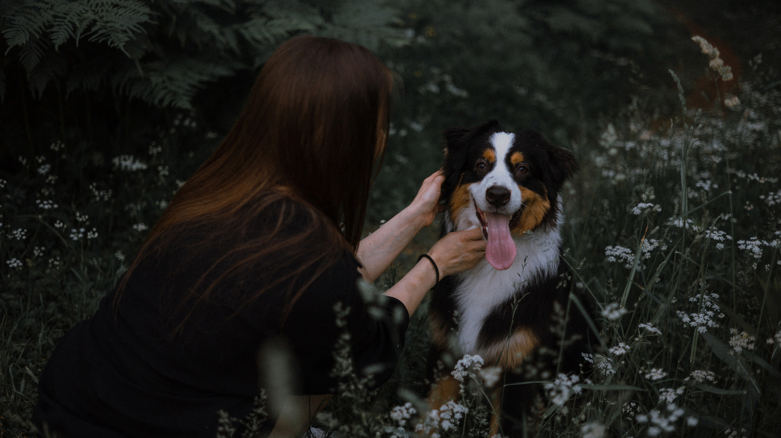 Яна и Уга. Фотограф-анималист Богданова Полина
