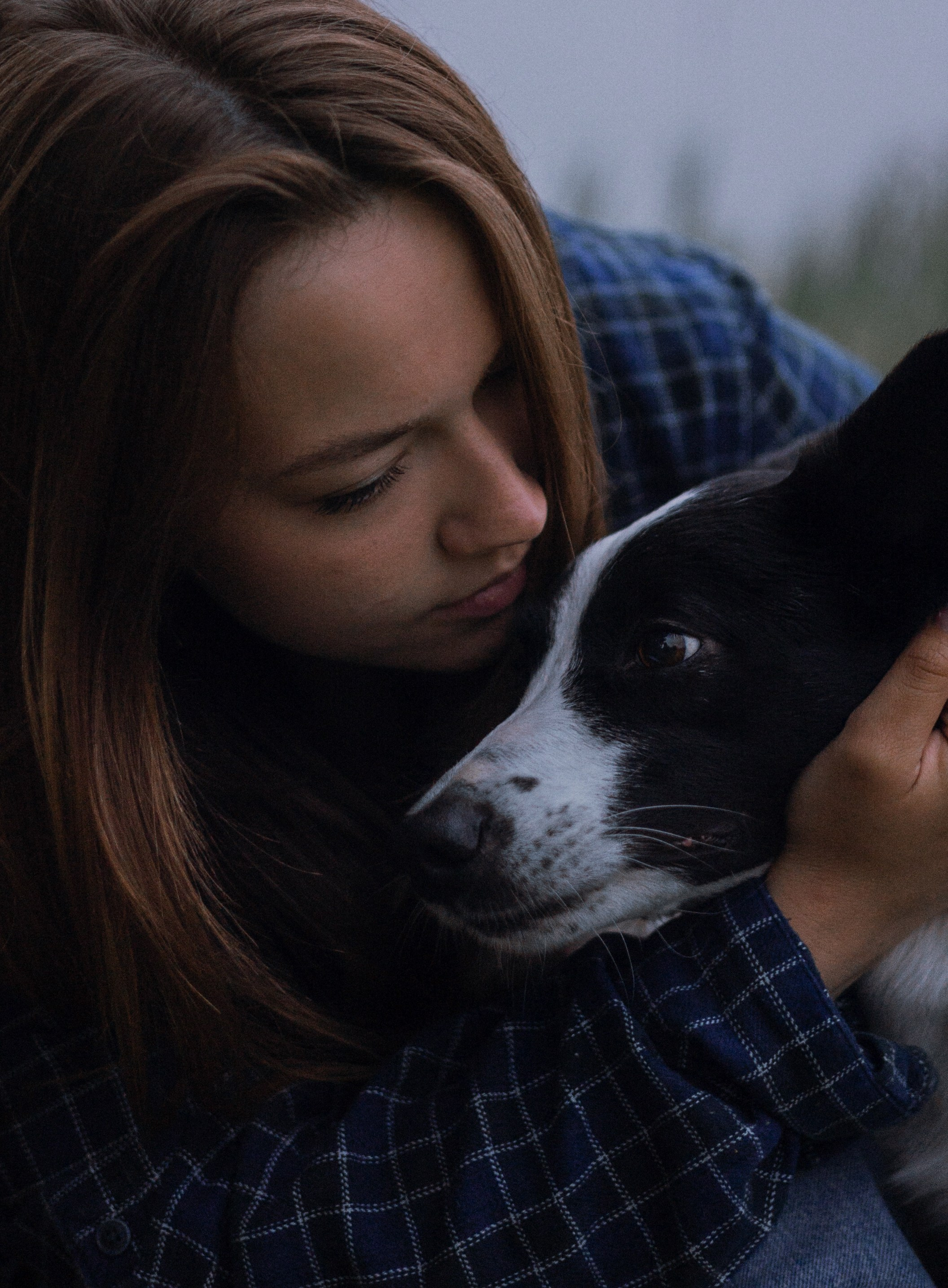 Аделя, Вандер, Шайна и Бая. Фотограф-анималист Богданова Полина
