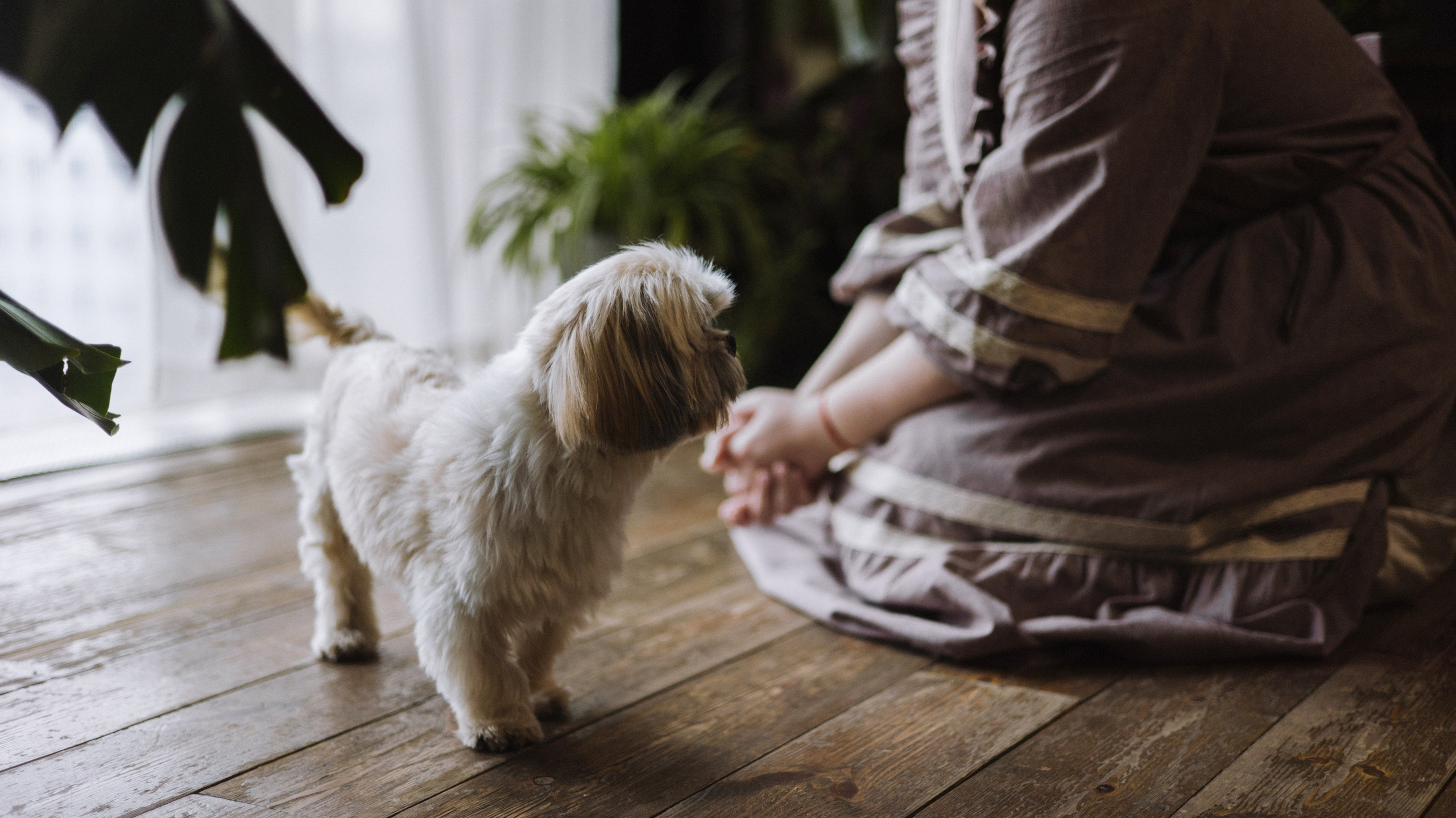 Ирина и Винни. Фотограф-анималист Богданова Полина