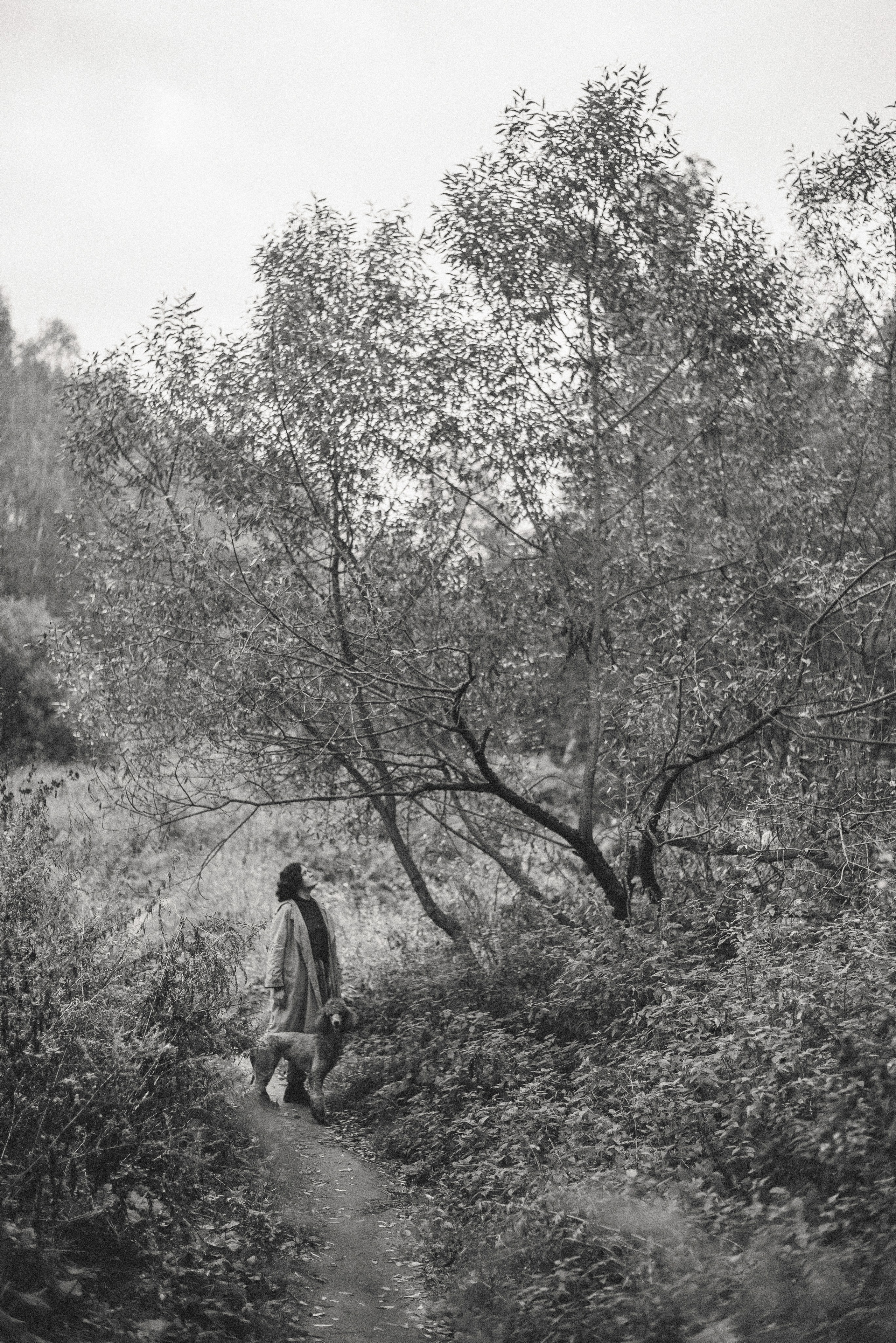 Алёна и Смоки. Фотограф-анималист Богданова Полина