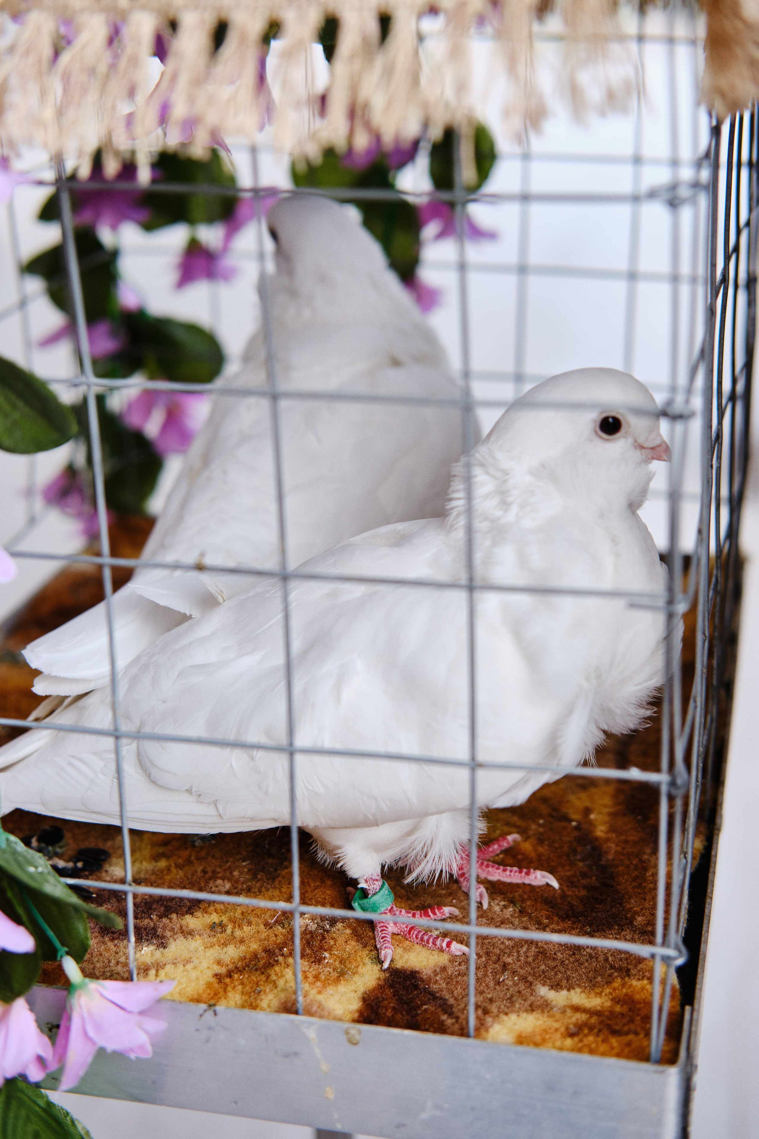 Егор и Карина. Фотограф в Анапе и Краснодаре Тина