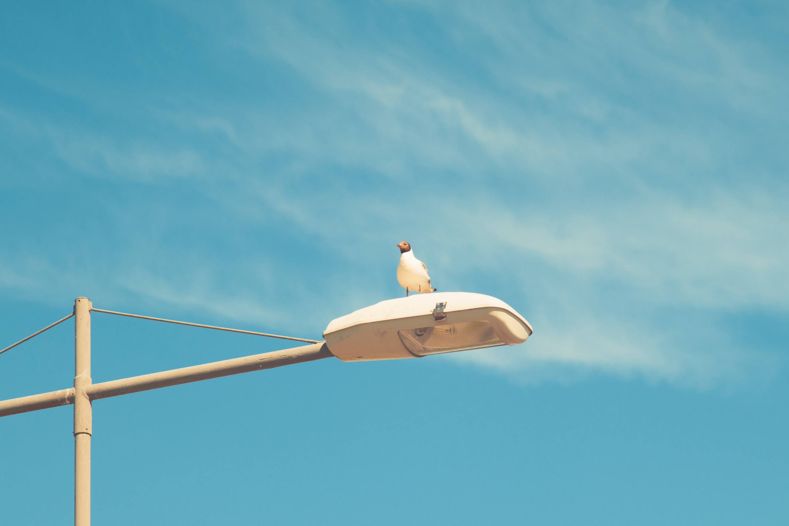 И вокруг меня. Портретный и концертный фотограф в Санкт-Петербурге Егор Телятников