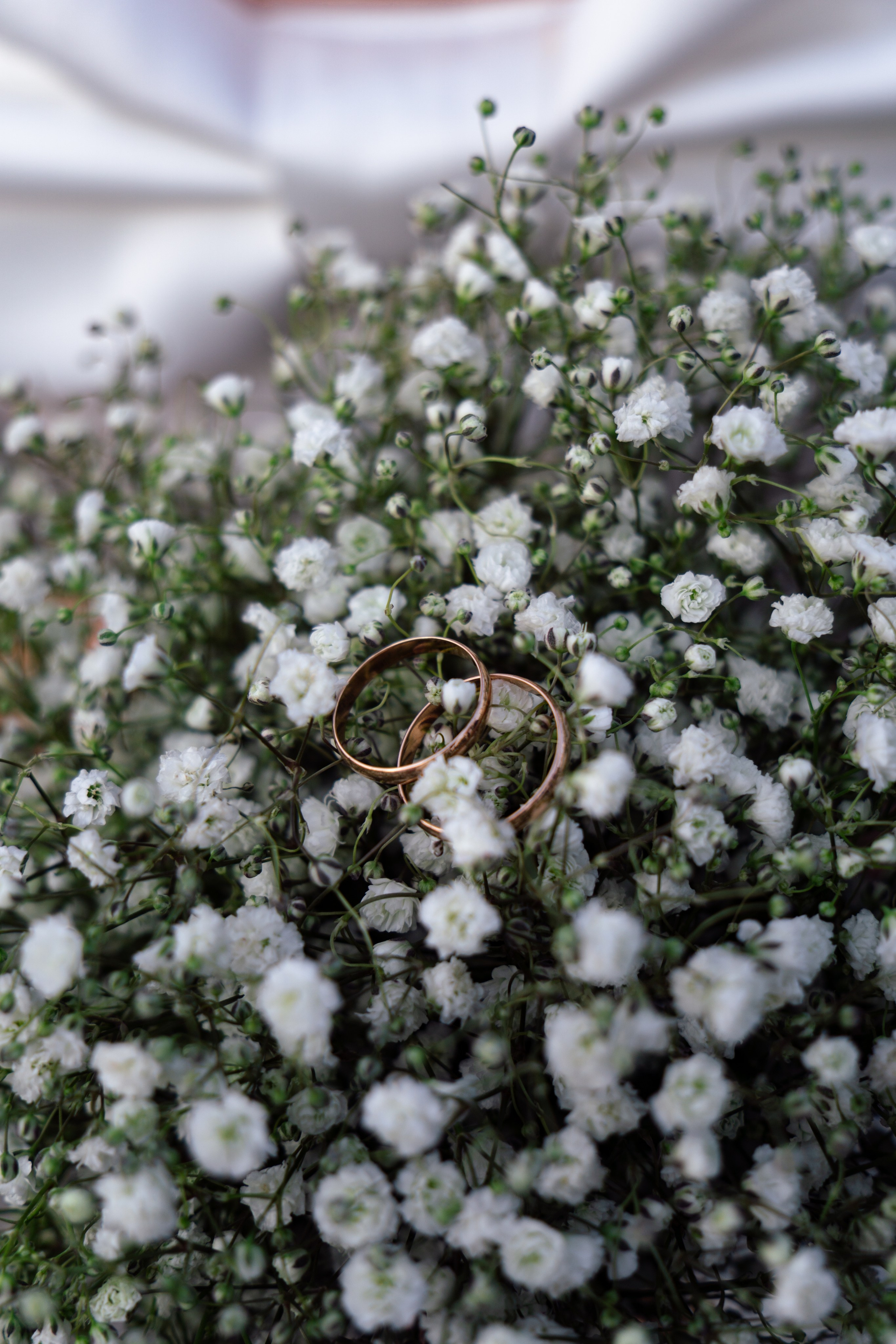 Даниил и Юлия. Фотограф Альберт Черных