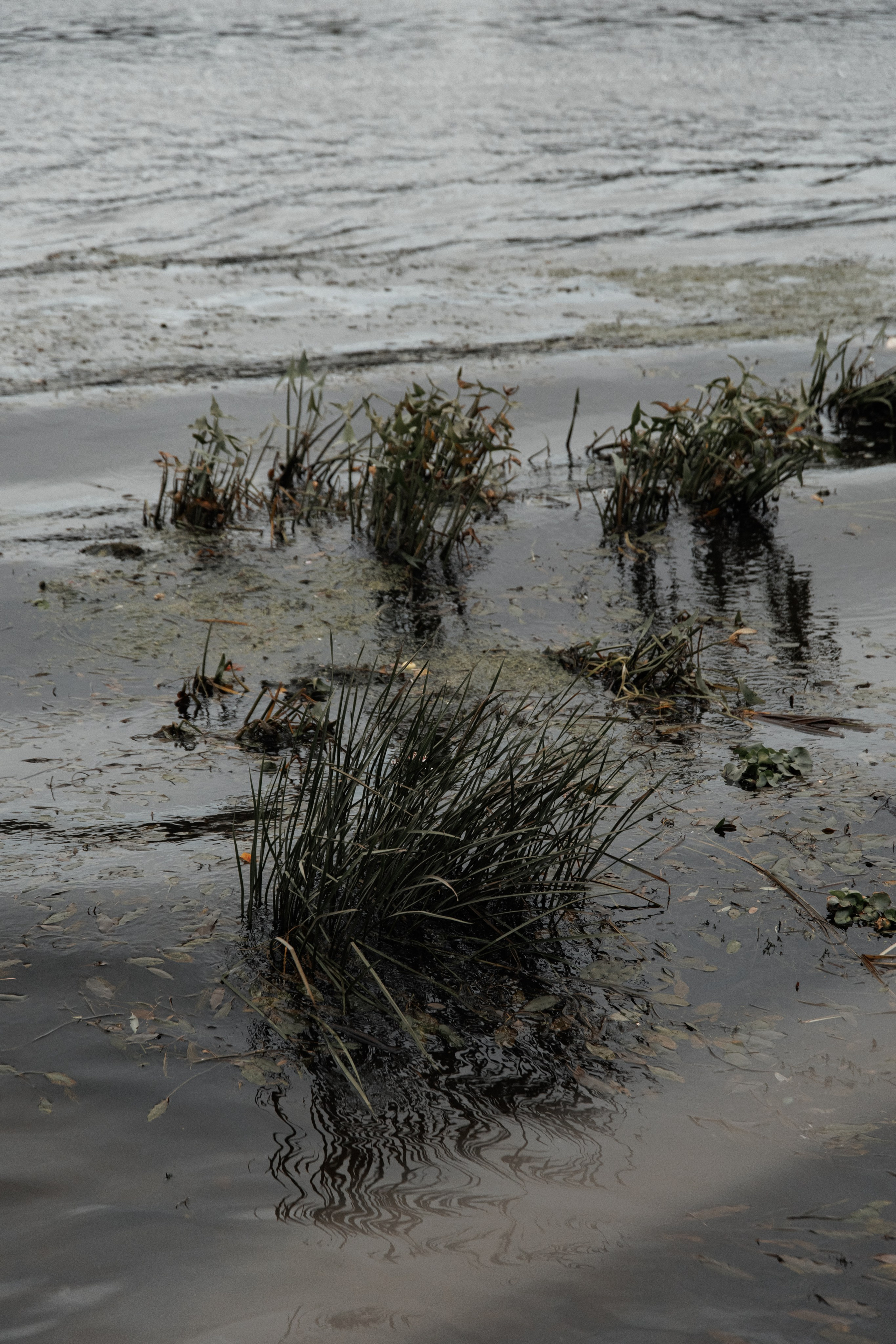 Настя, Денис и Маша