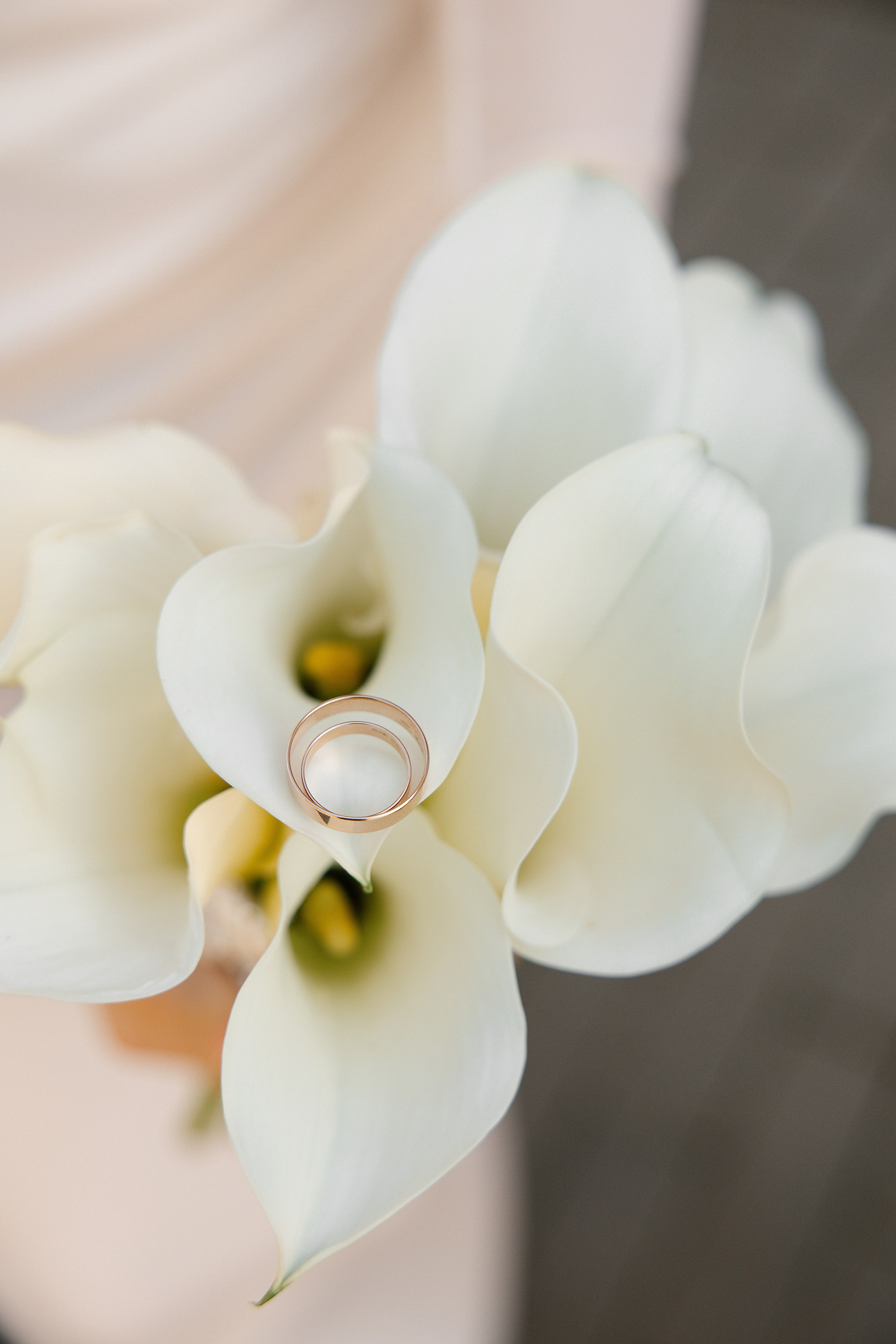 Юлия & Кирилл. Фотограф Сотникова Вероника