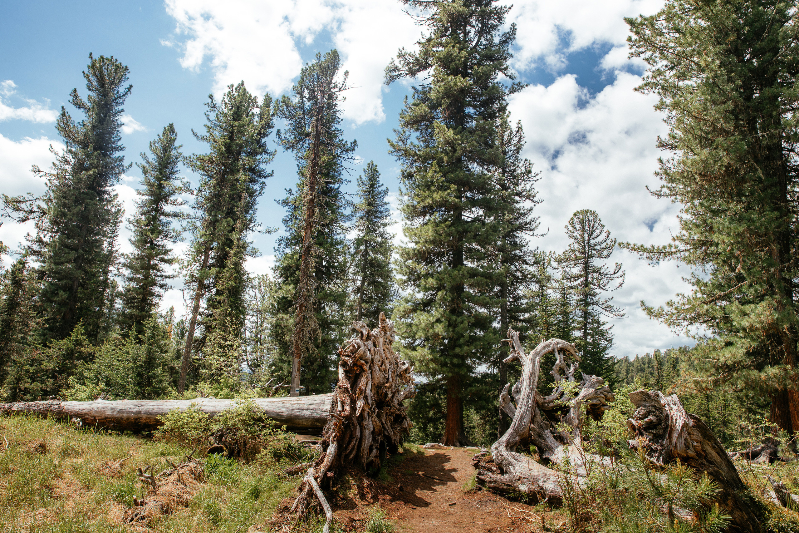 Пик Птица. Ергаки. Свадебный и репортажный фотограф в Москве Владимир Сергеев | Naysaikolo