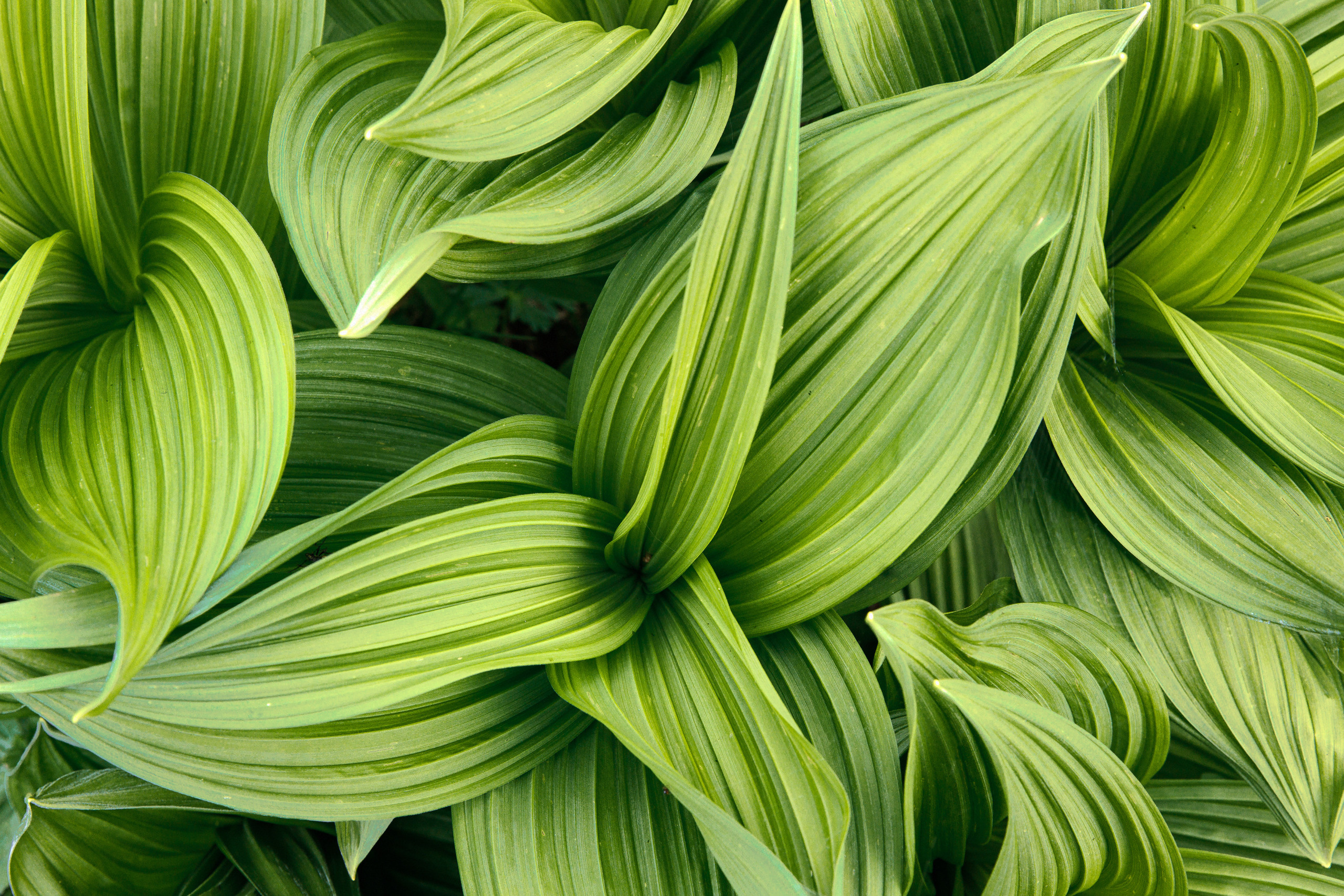Пик Птица. Ергаки. Свадебный и репортажный фотограф в Москве Владимир Сергеев | Naysaikolo