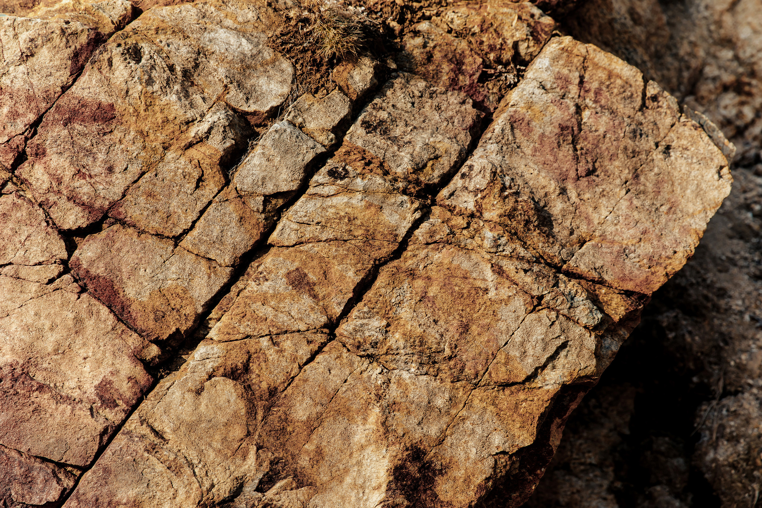 Ольхон. Байкал. Свадебный и репортажный фотограф в Москве Владимир Сергеев | Naysaikolo